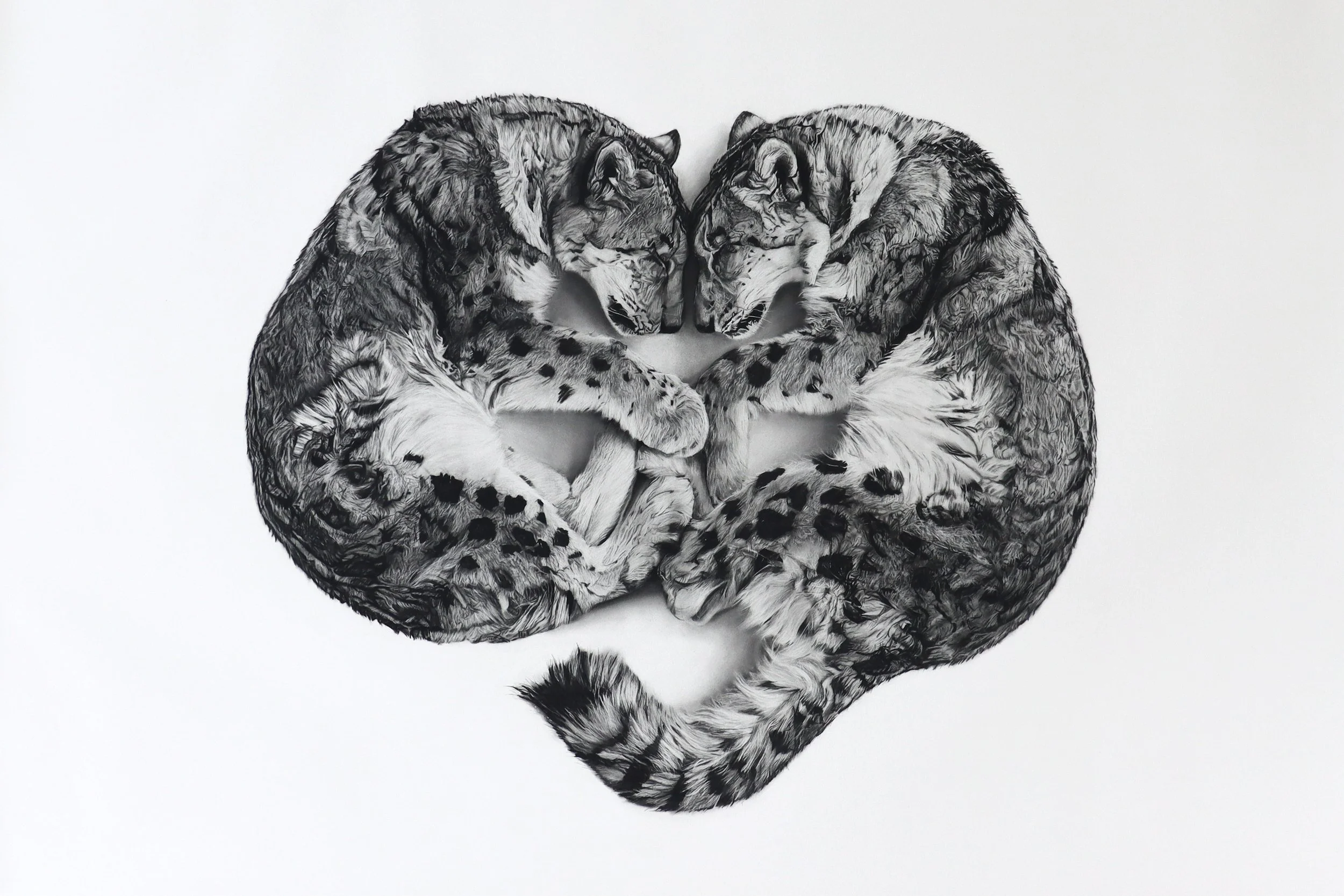 Rob Harris Art Ghosts Editions.jpg