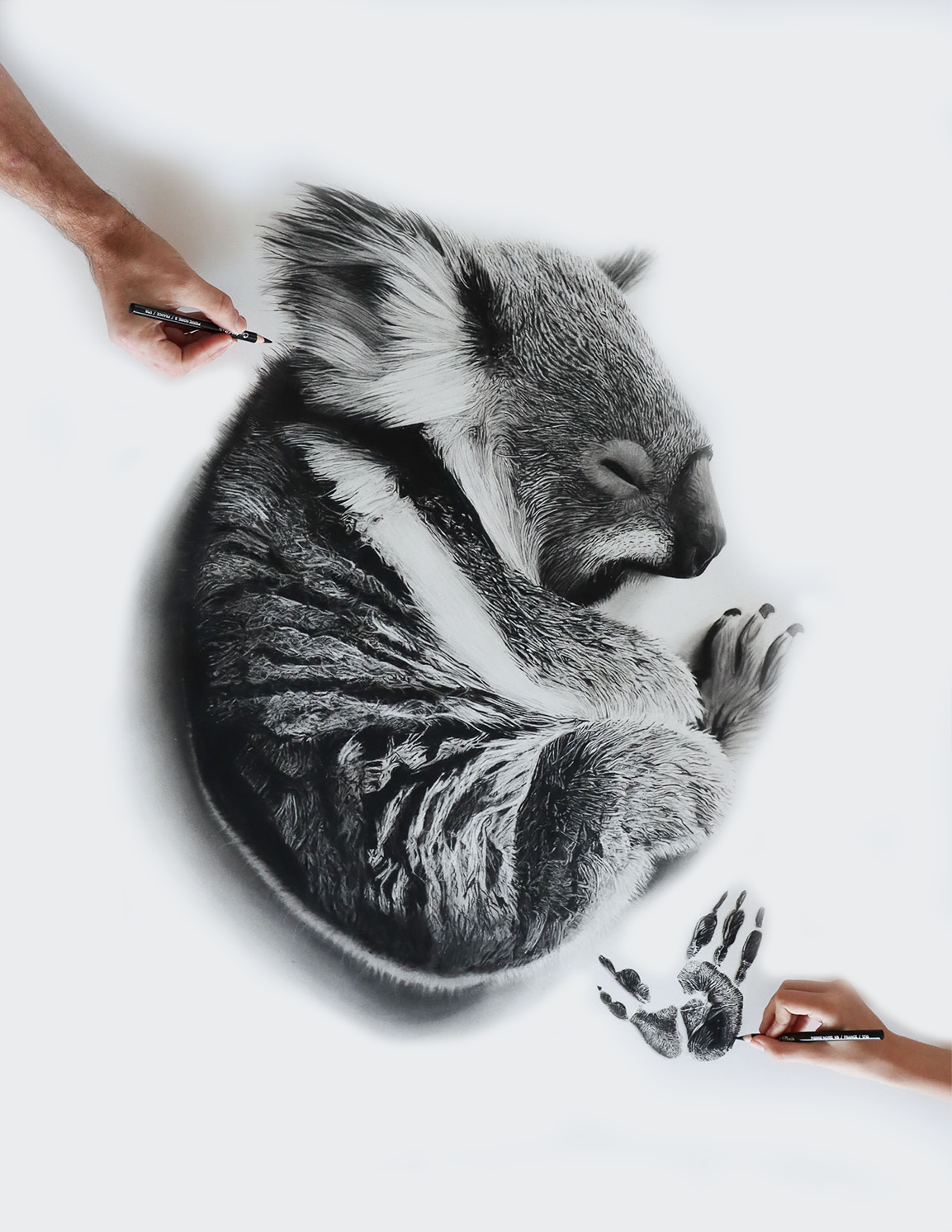 Baby Paws Koala Print