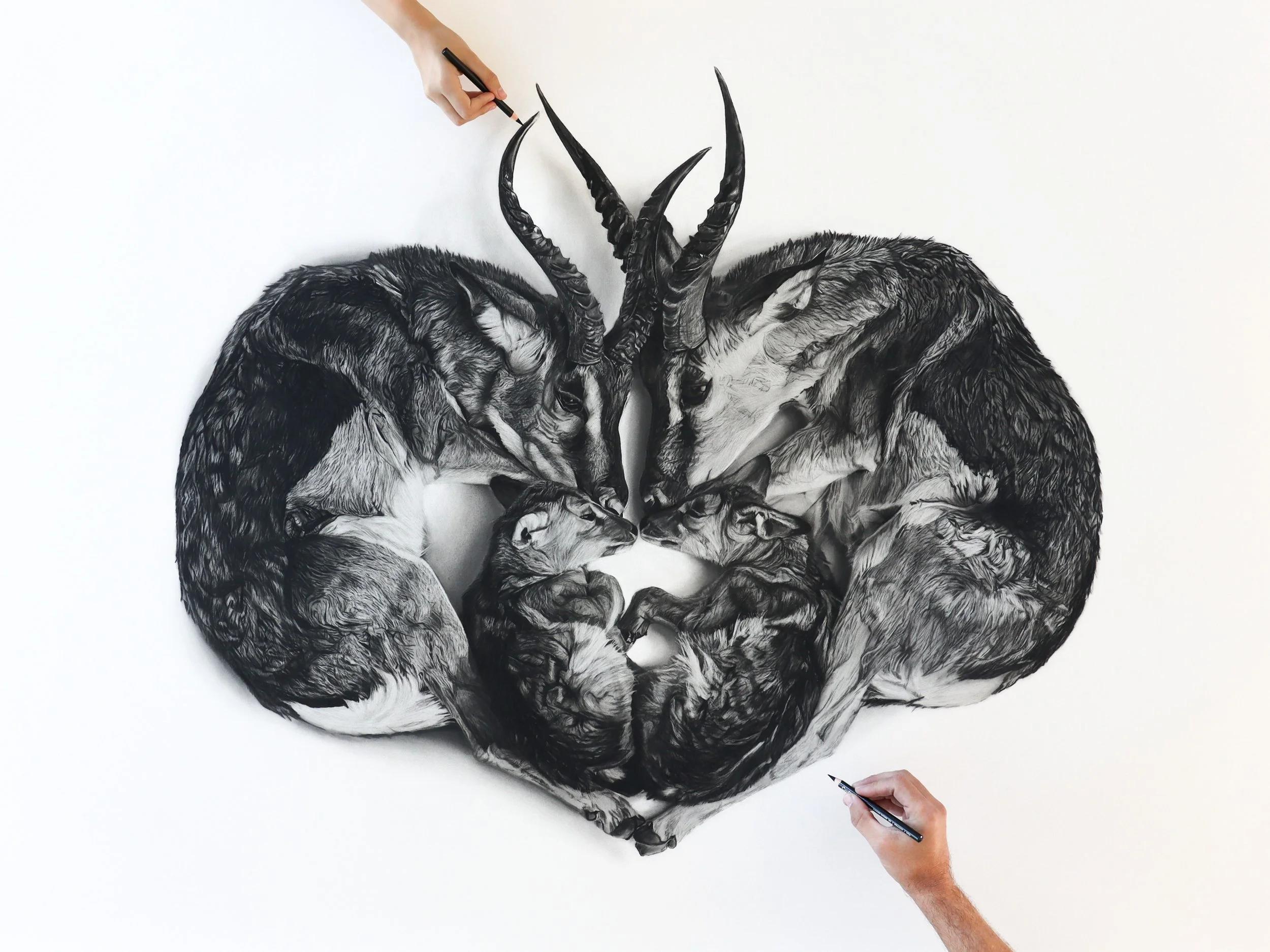 Limited edition of Vigil charcoal artwork by Rob Harris Art