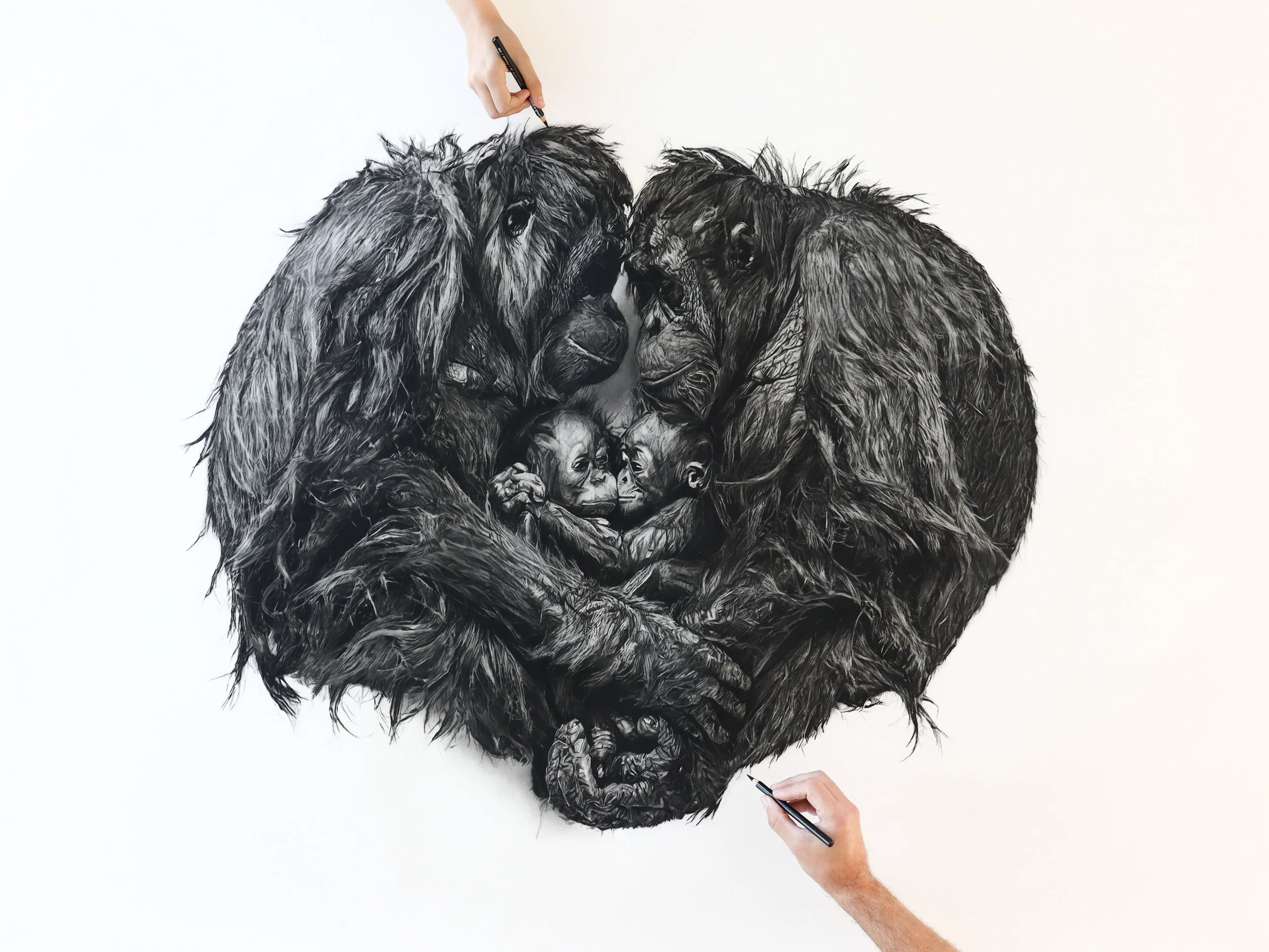 Limited edition of Within charcoal artwork by Rob Harris Art