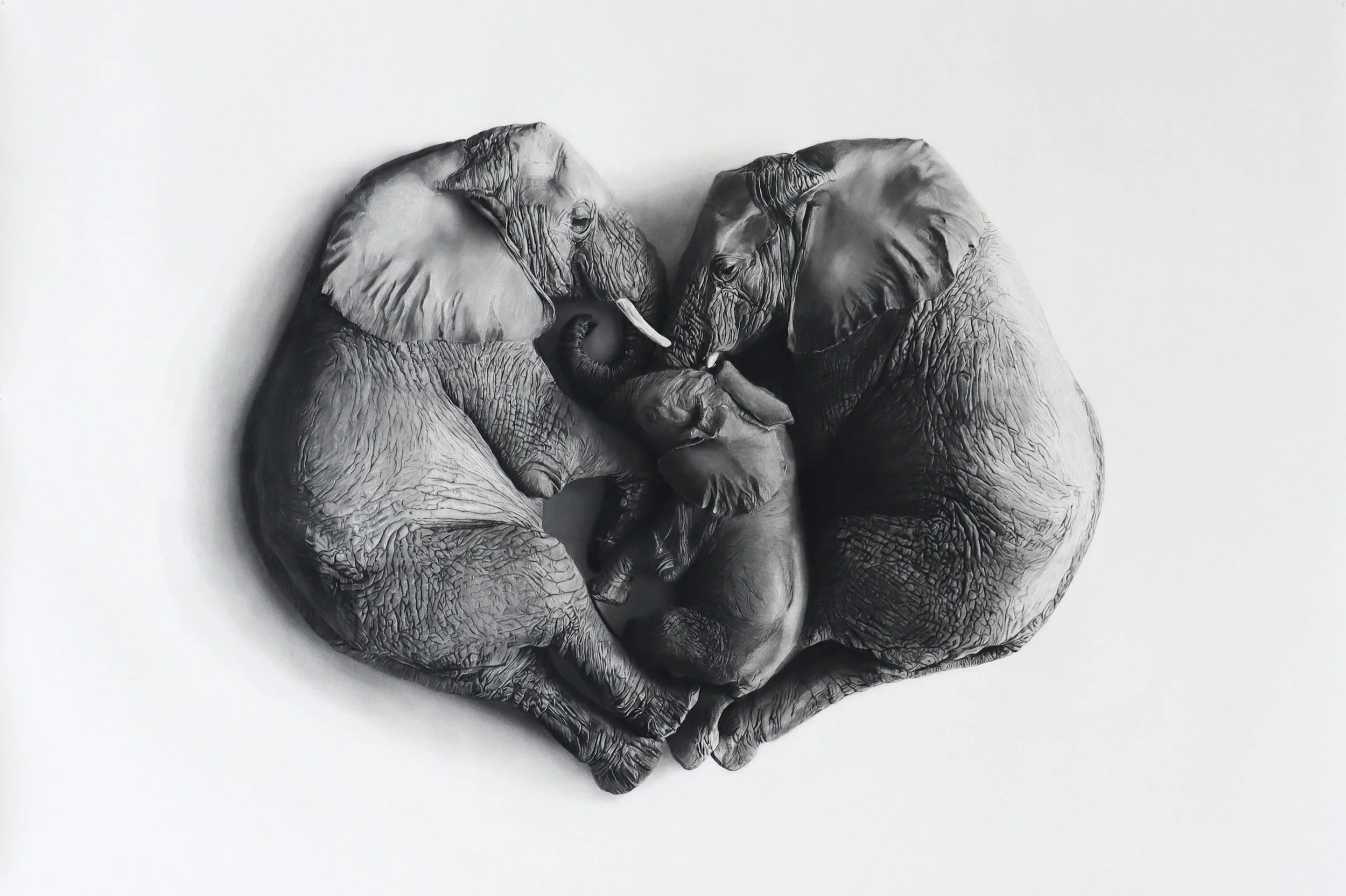 Rob Harris Art Lineage Editions.jpg