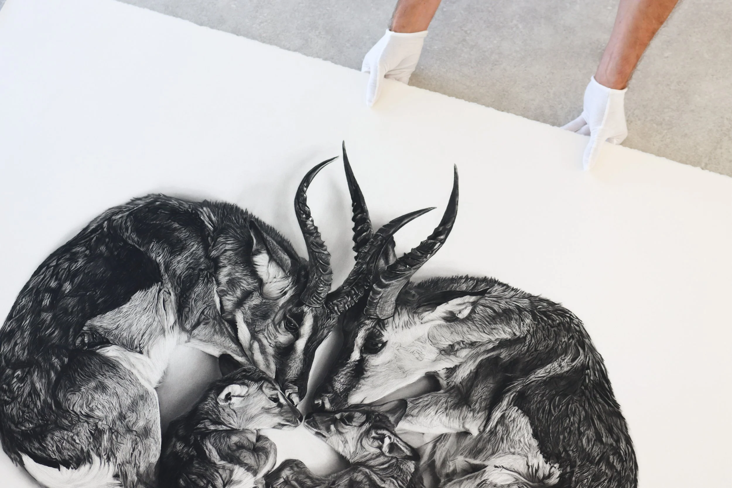 Original Vigil charcoal artwork by Rob Harris and Georgia Harris