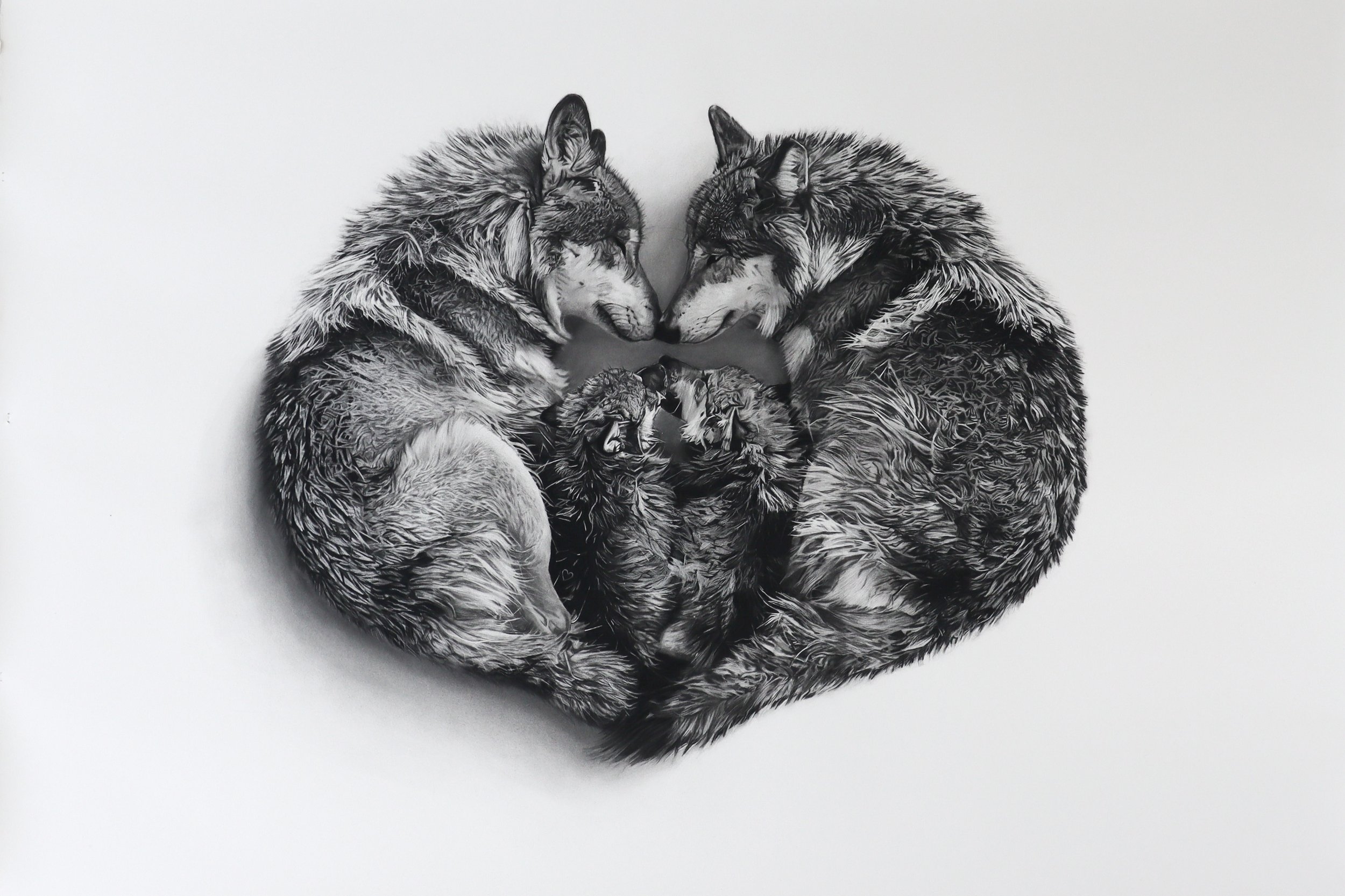 Rob Harris Art Sanctum Editions.jpg