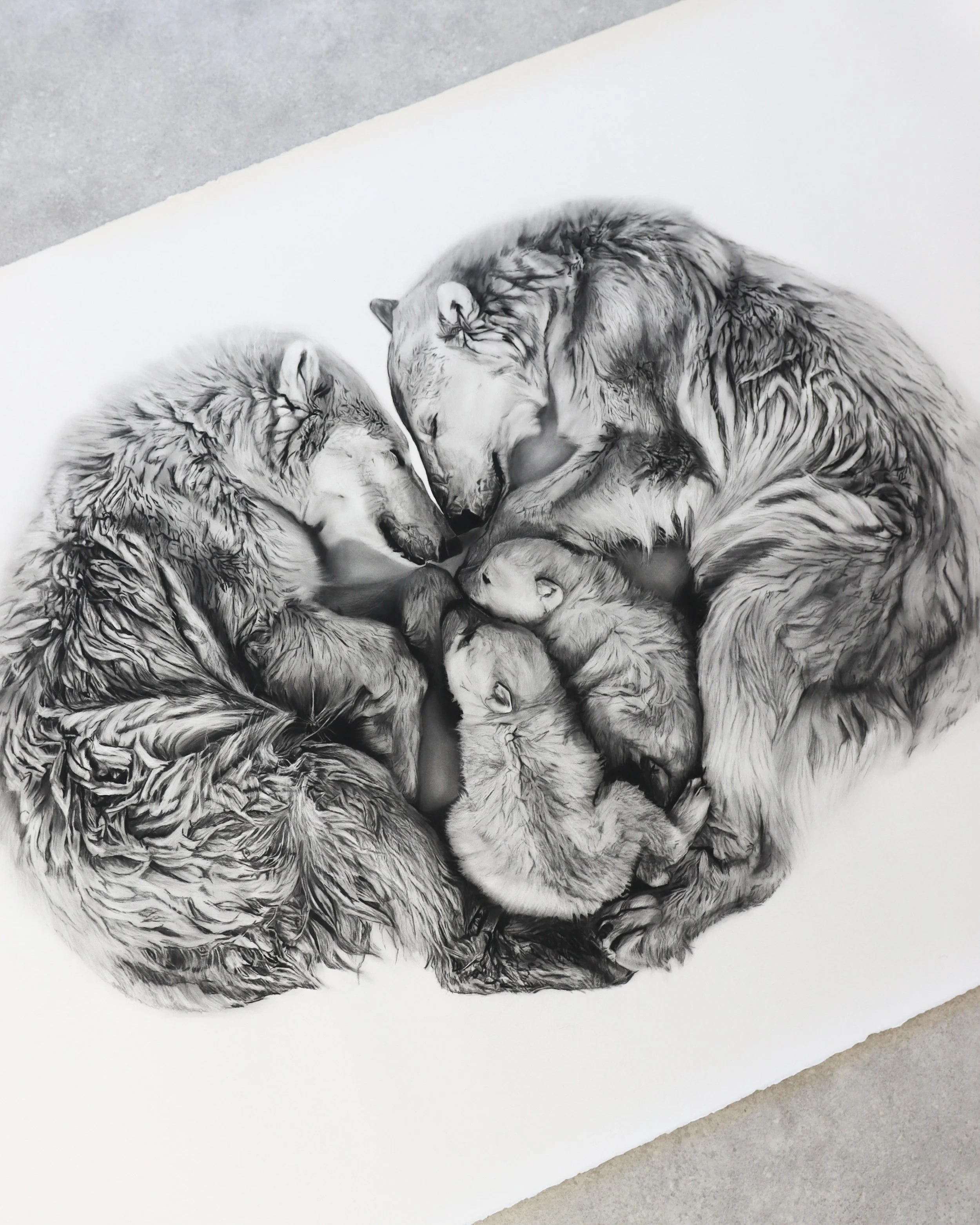 Angled view of Refuge, a sculptural charcoal drawing of polar bears by Rob Harris