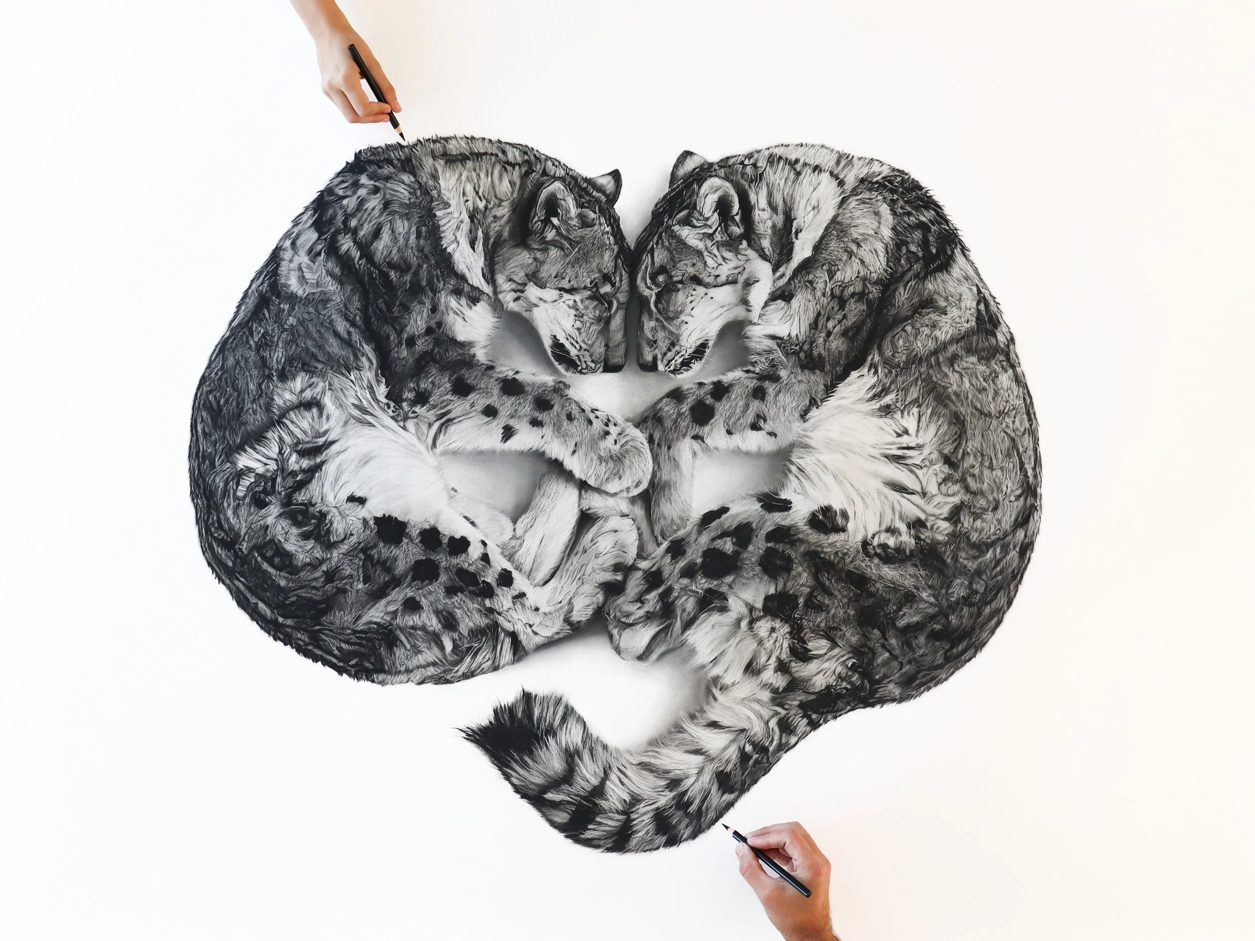 Limited edition of Ghosts charcoal artwork by Rob Harris Art
