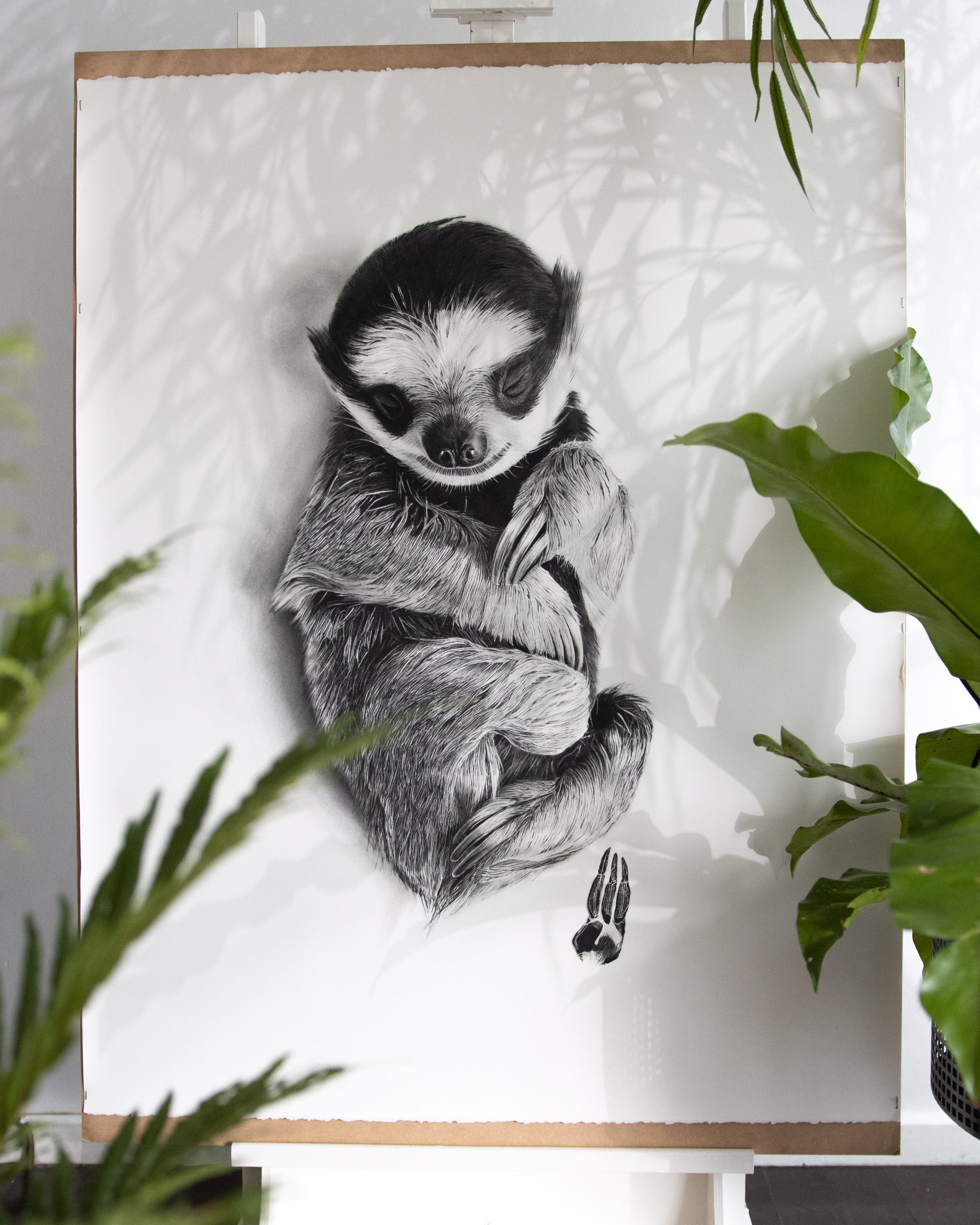 sloth-in-situ.jpg