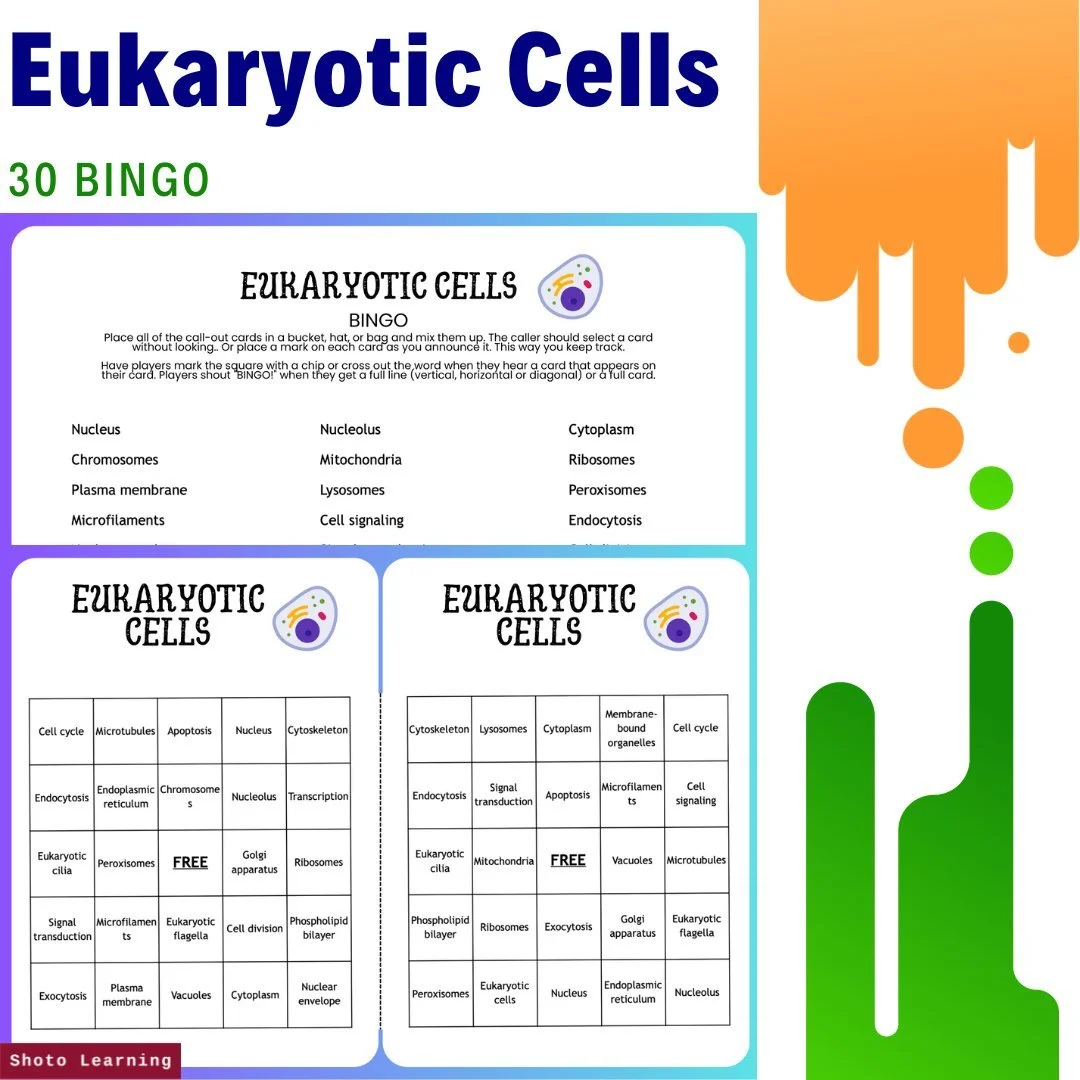 Eukaryotic Cell Missing Letter Worksheet | Fun Learning Activity