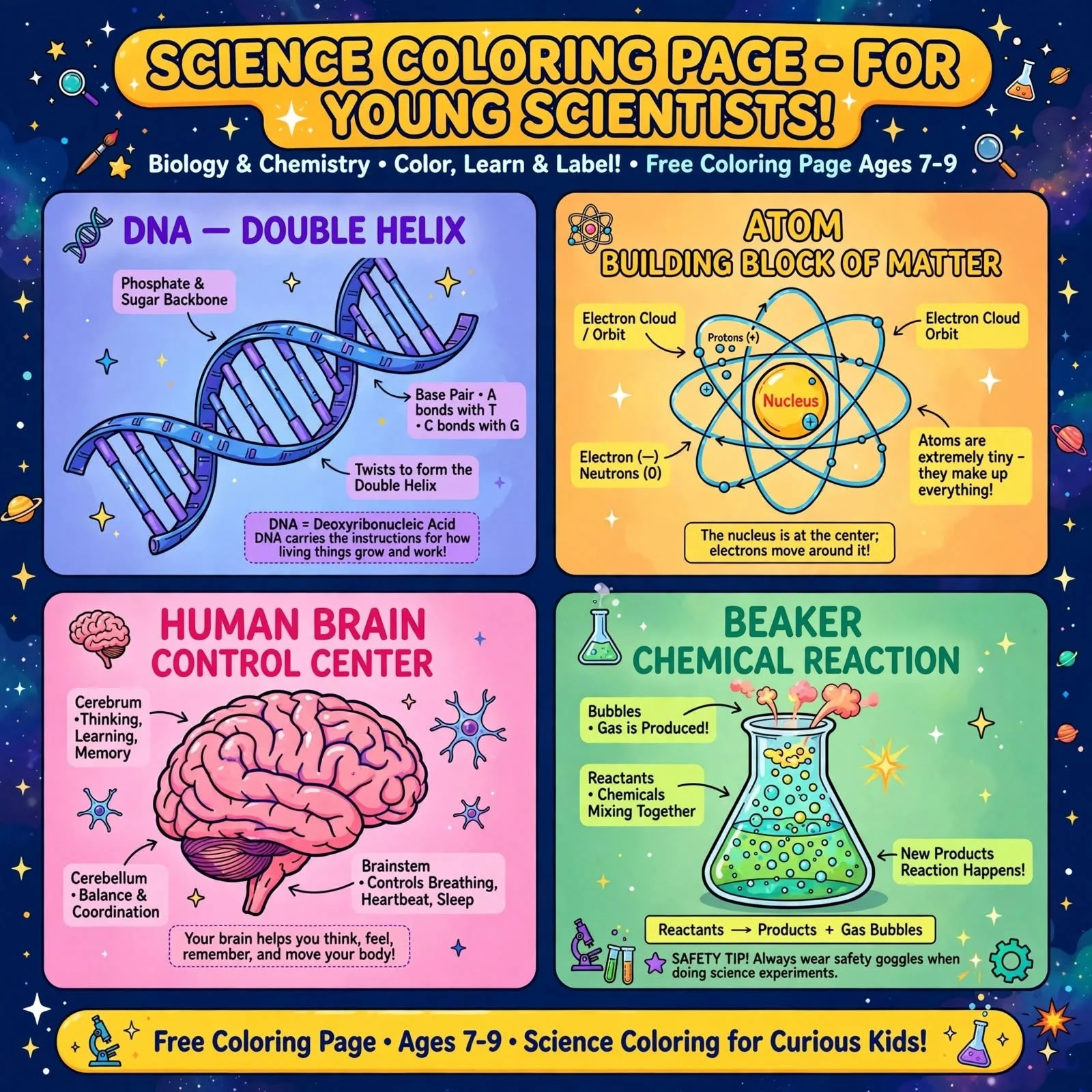 FREE Science Coloring Page Ages 7-9 | DNA Atom Brain Beaker Biology Chemistry