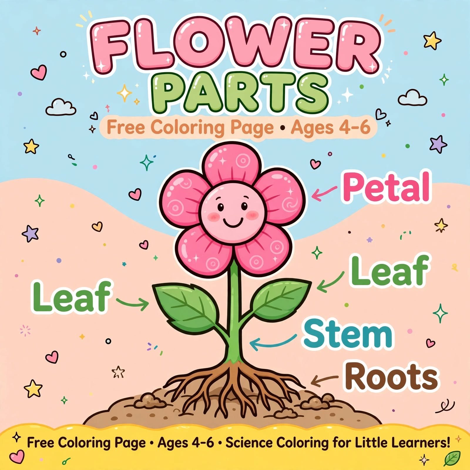FREE Flower Parts Coloring Page | Parts of a Flower Worksheet - Ages 4-6