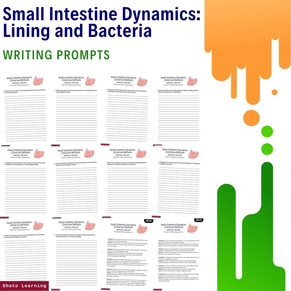 Small Intestine Word Search: Lining Bacteria Puzzle