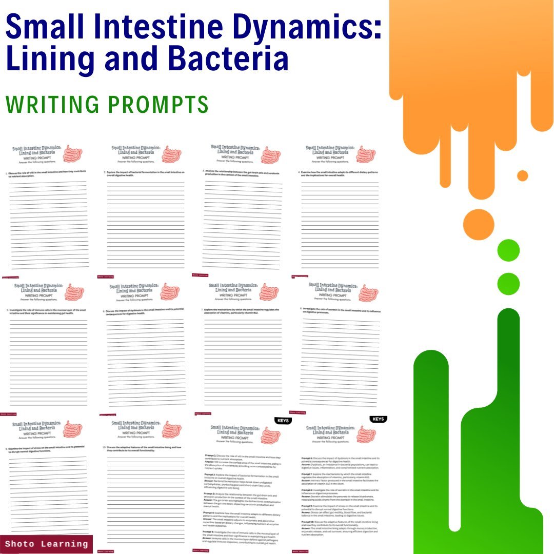 Small Intestine Word Search: Lining Bacteria Puzzle