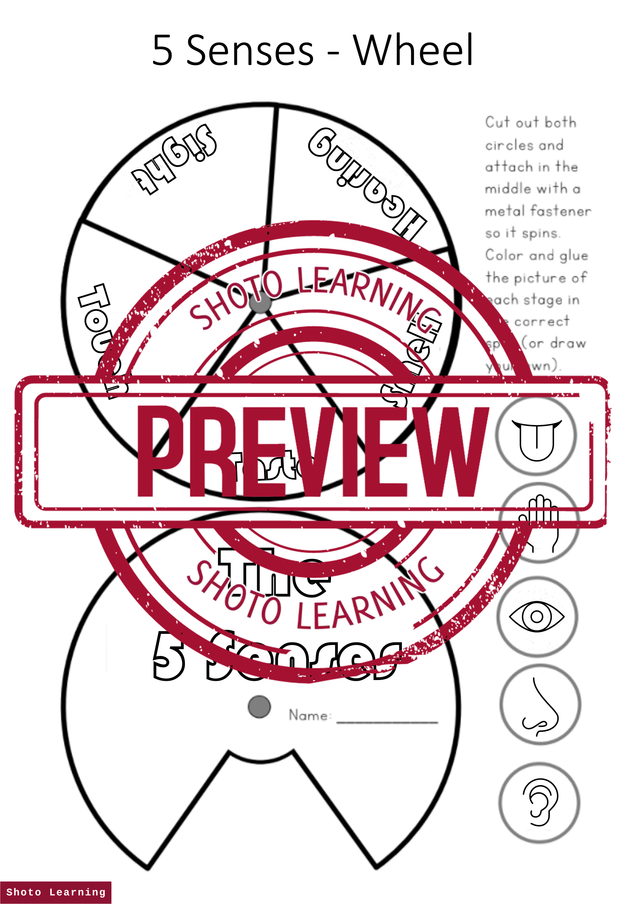 5 SENSES SCIENCE ACTIVITY 3 X BUNDLE WORD FIND UNSCRAMBLE WORDS ...