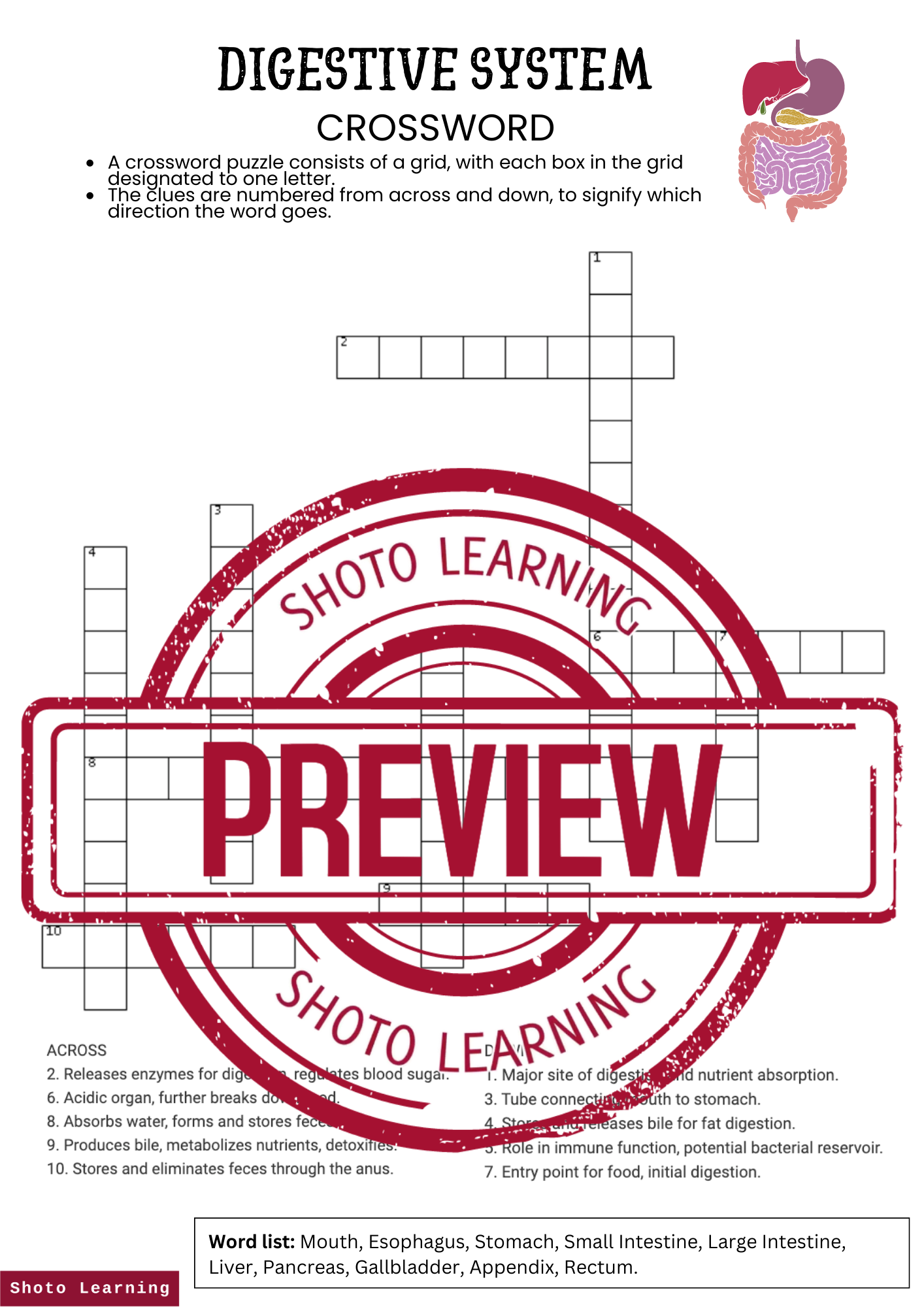 Respiratory System Crossword Worksheet Puzzle Breath of Knowledge — Shoto Learning English