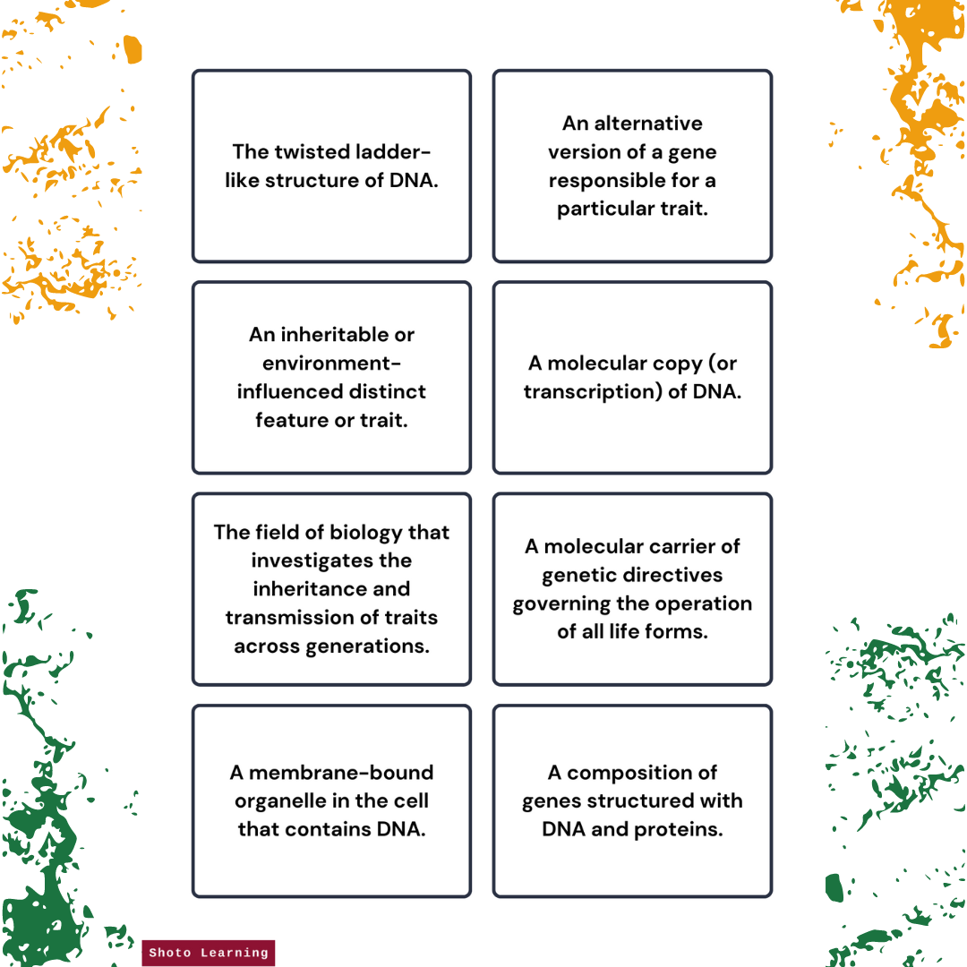 Respiratory System Diagram: Fill in the Blanks and Learn About Your ...