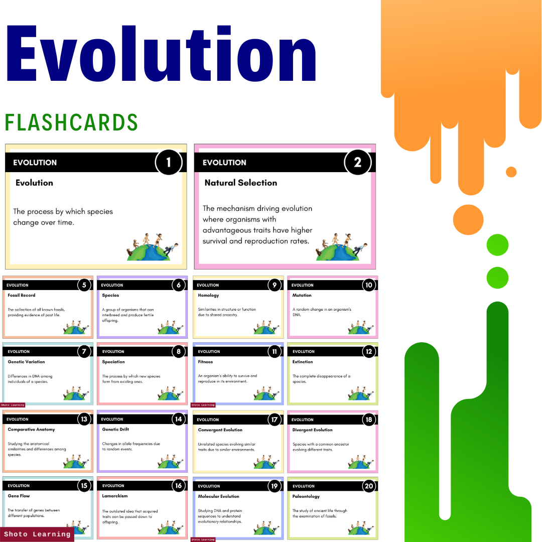 Evolution Flashcard Set: 20 Essential Concepts for Learning — Shoto ...