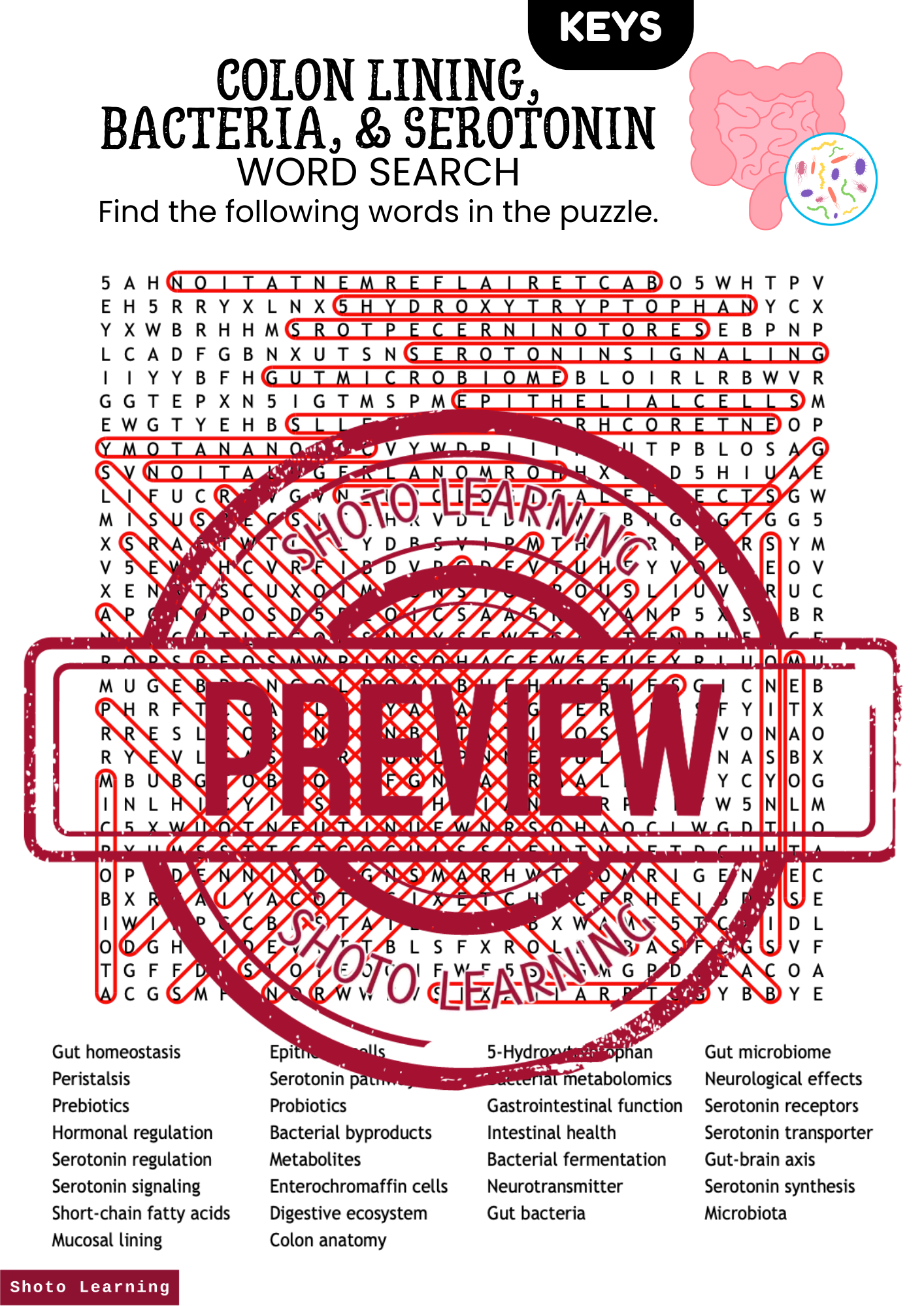 REFLECTION AND REFRACTION SCIENCE ACTIVITY - WORD FIND WORDS SEARCH ...