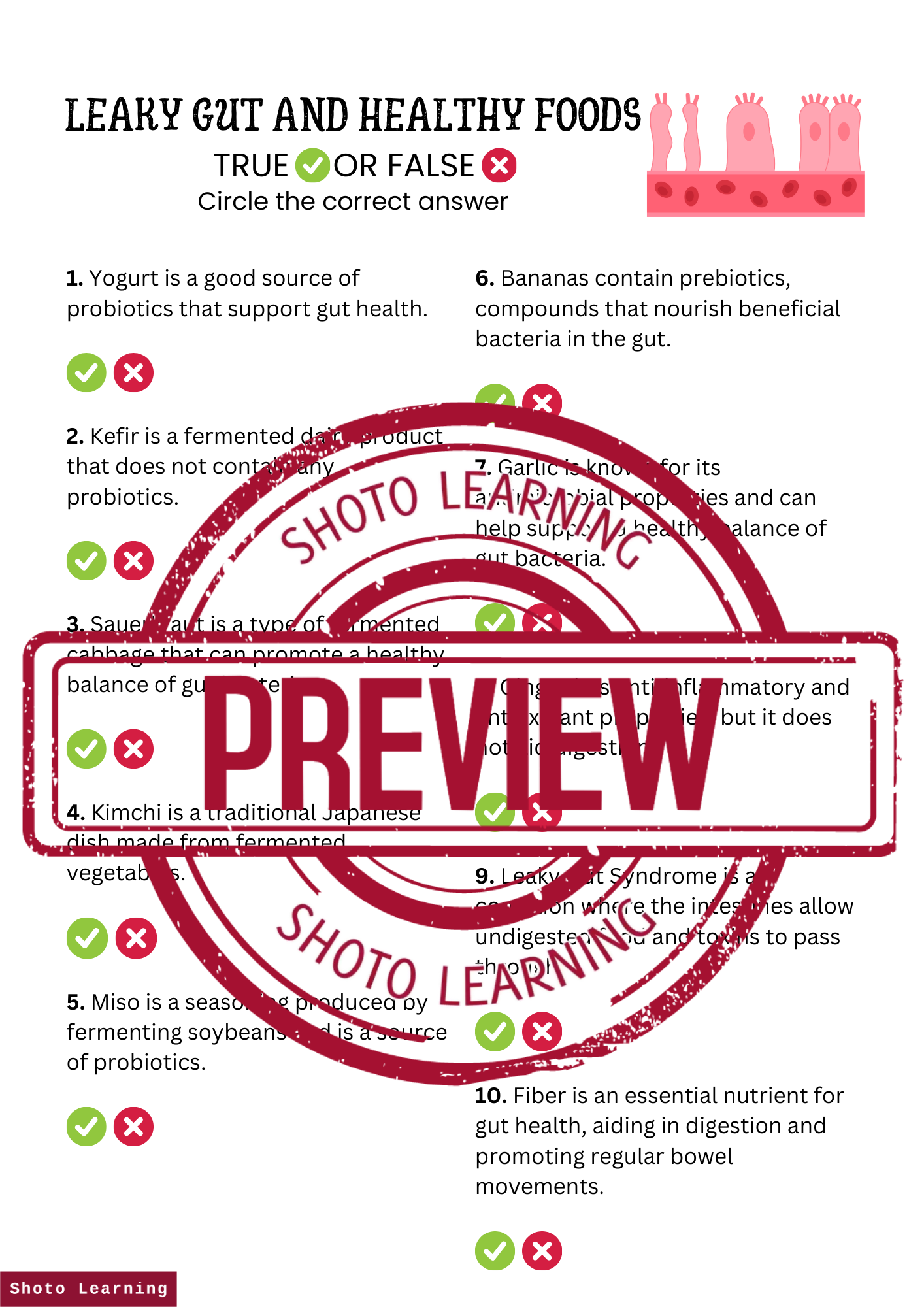 Revitalize Your Gut: Nourishing Choices - 20 Multiple Choice Questions ...