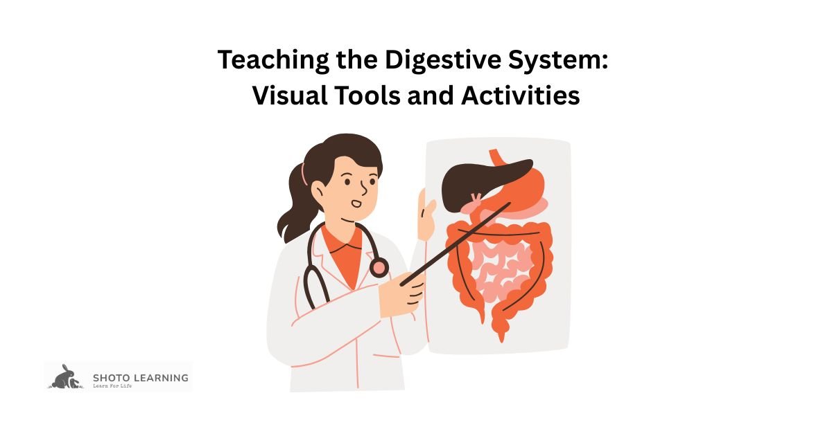 Teaching the Digestive System: Visual Tools and Activities for Effective Learning
