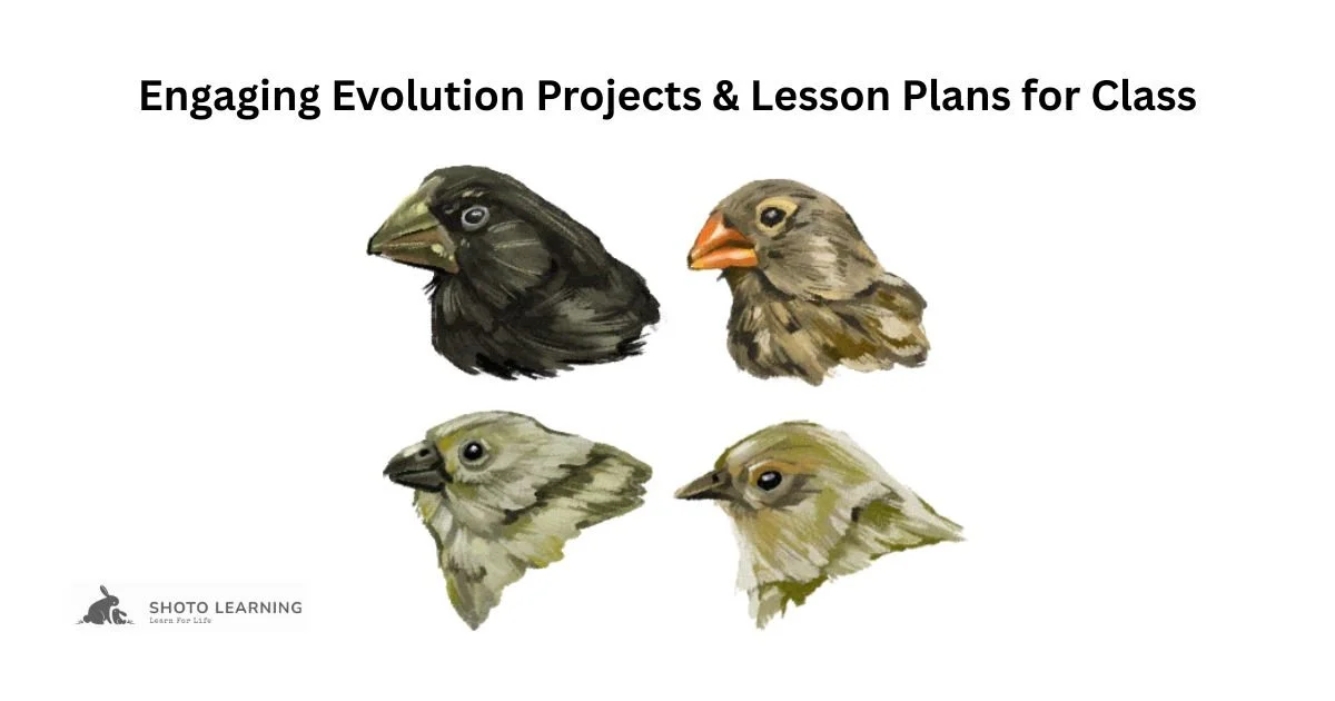 Exploring Evolution: Projects and Lesson Plans for Engaging Science Education