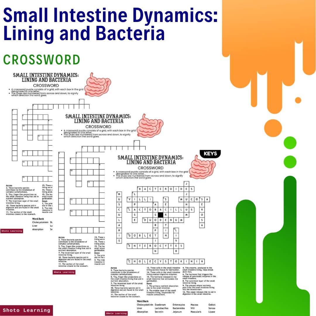 Small Intestine Dynamics Lining and Bacteria Crossword.jpg