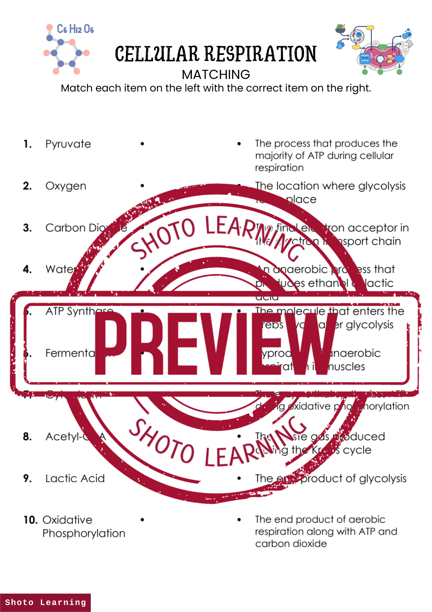 Cellular Respiration Missing Letters Worksheets 20 Keywords with Word