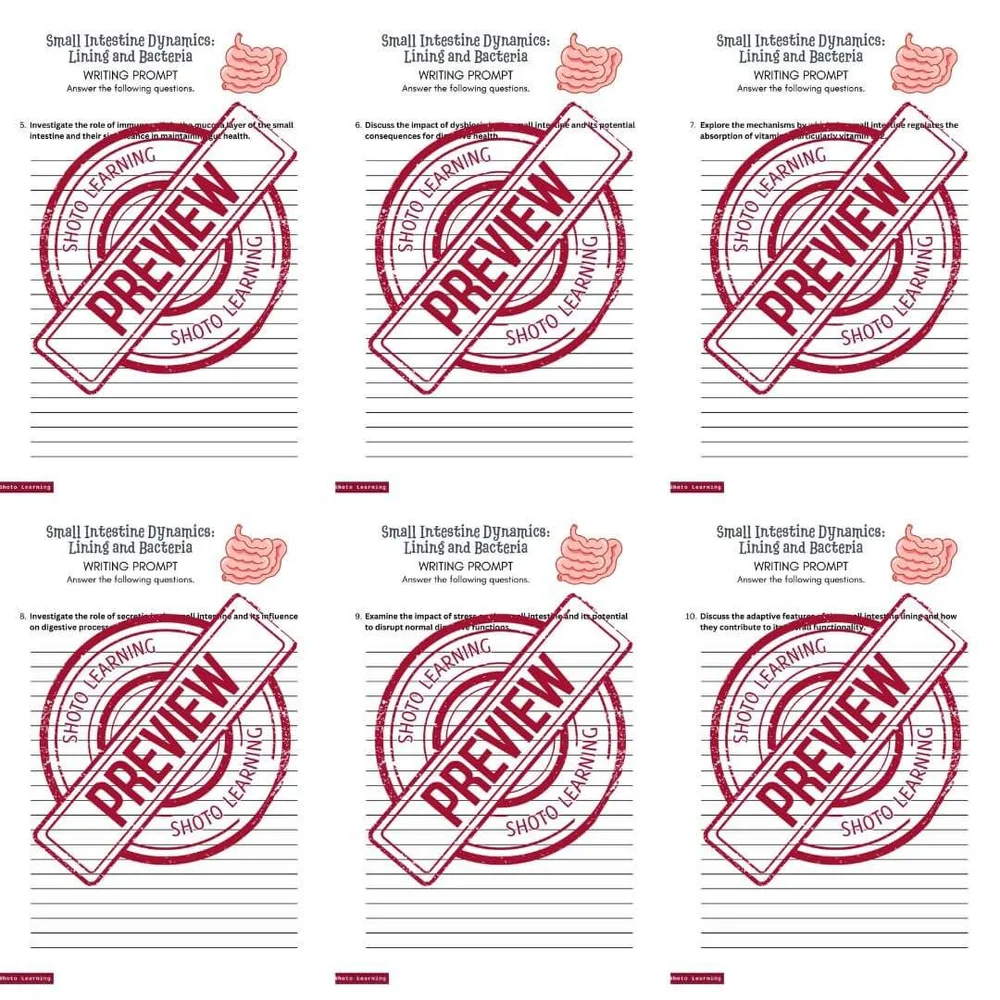 Small Intestine Word Search: Lining Bacteria Puzzle