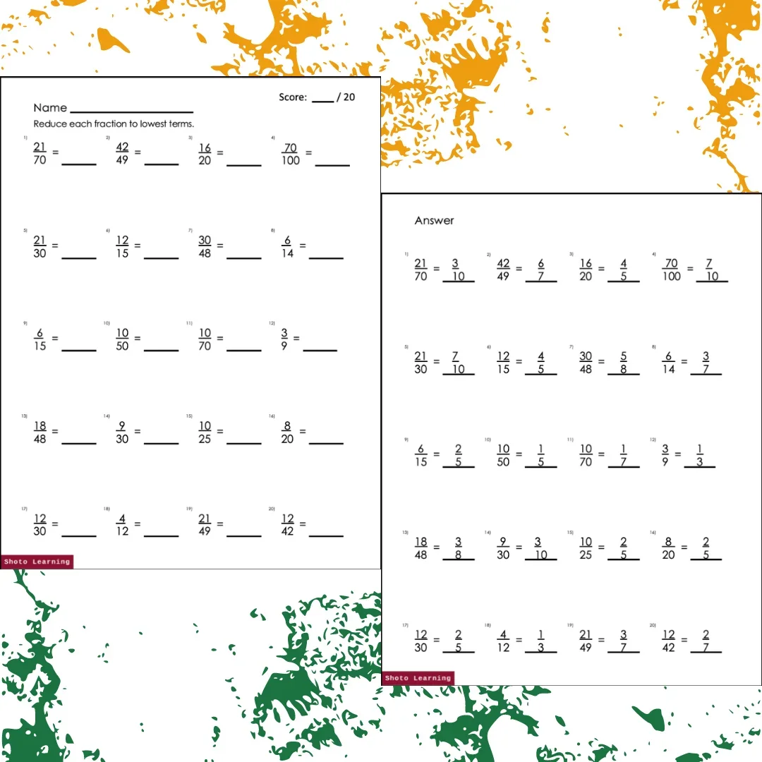 RFLT Medium - B.webp