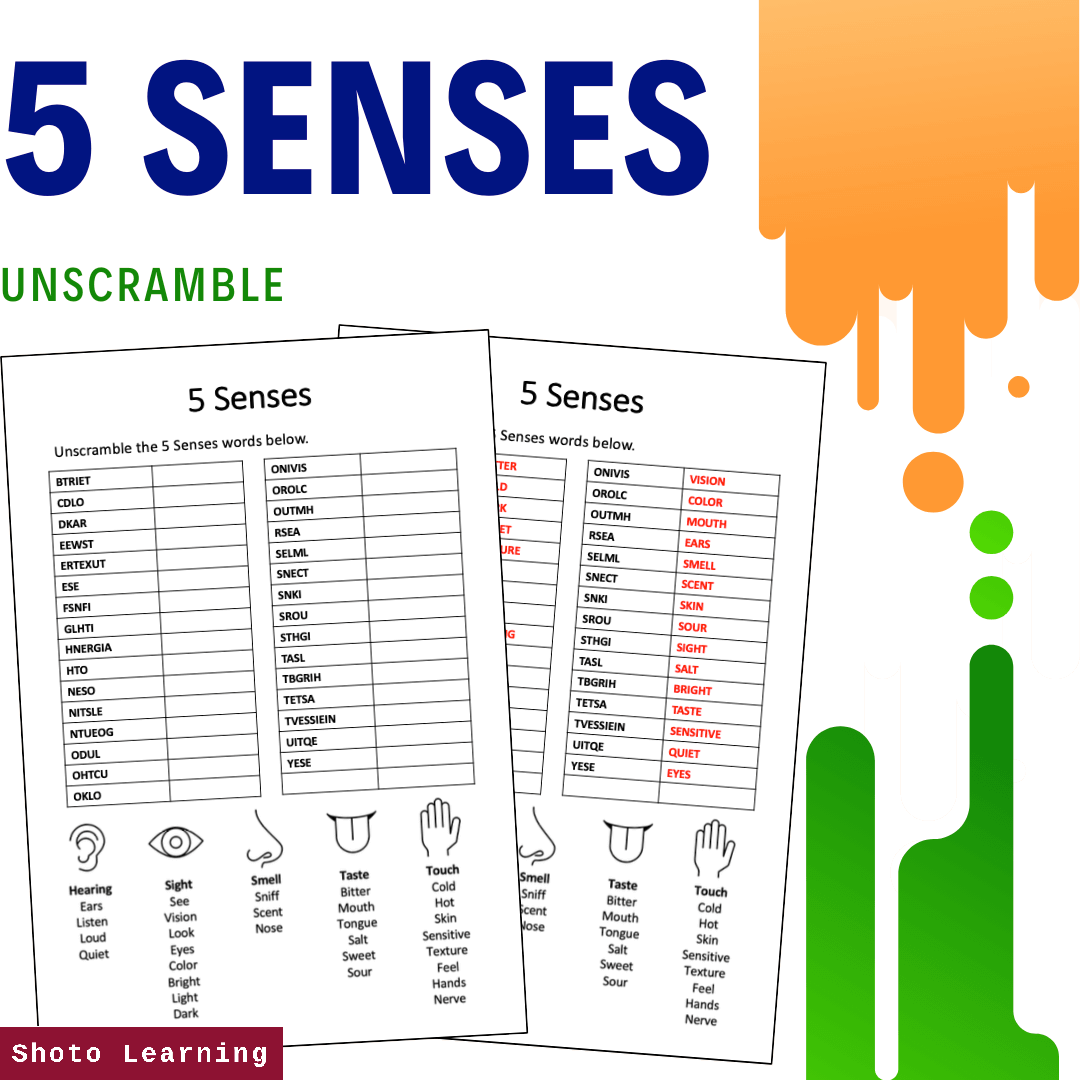 5 SENSES - WS.png