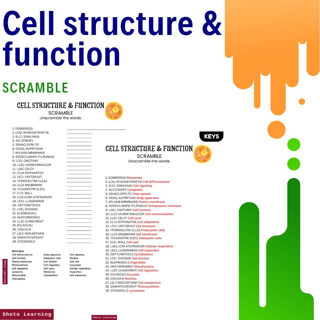 Cell structure and function.jpg