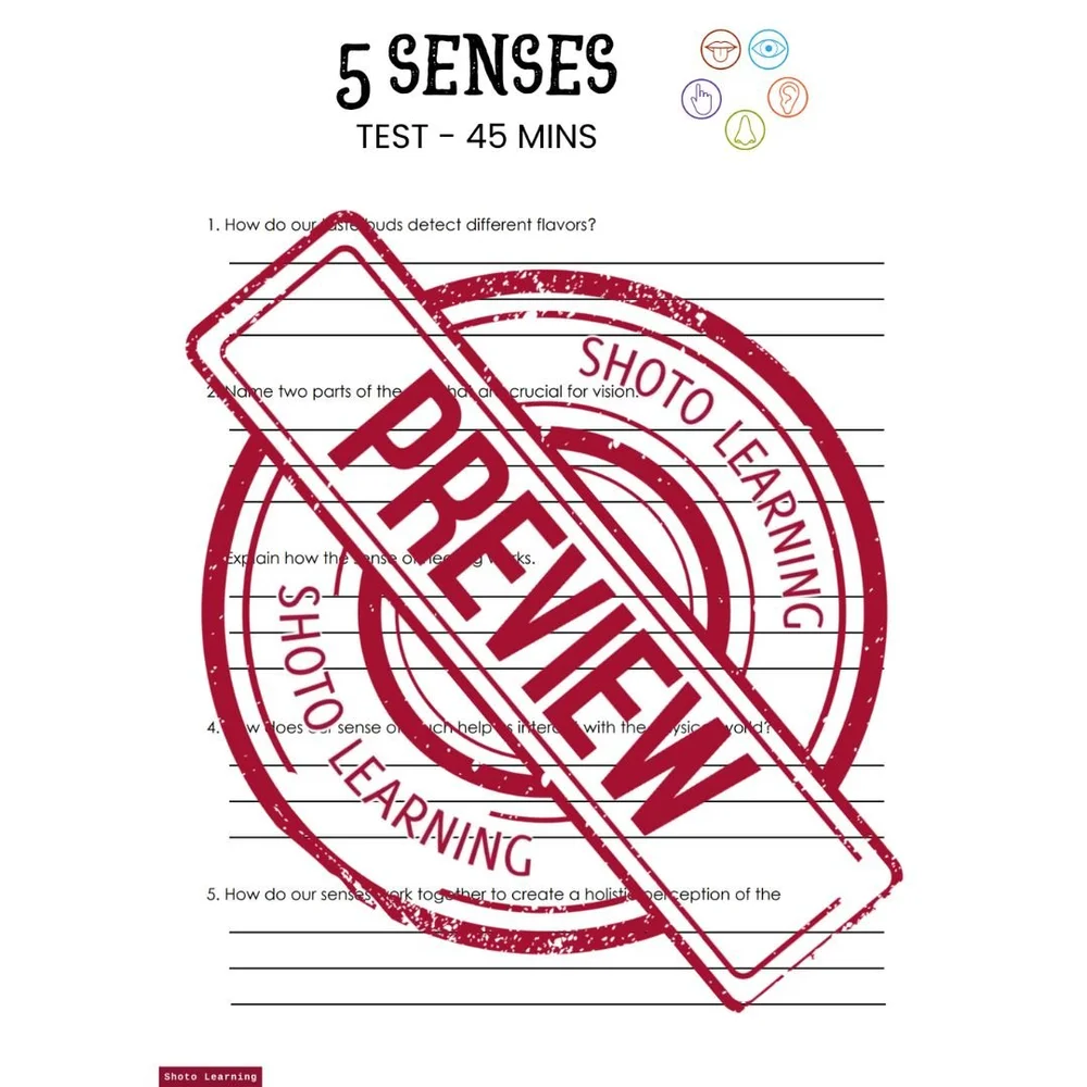 Five Senses Word Search Puzzle - Fun Science Activity for Kids
