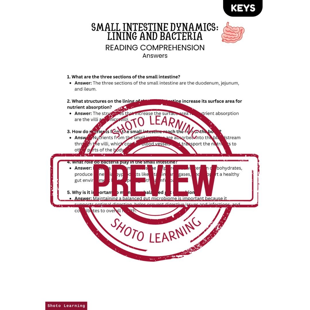 Small Intestine Dynamics Reading Comprehension Key Answers.jpg