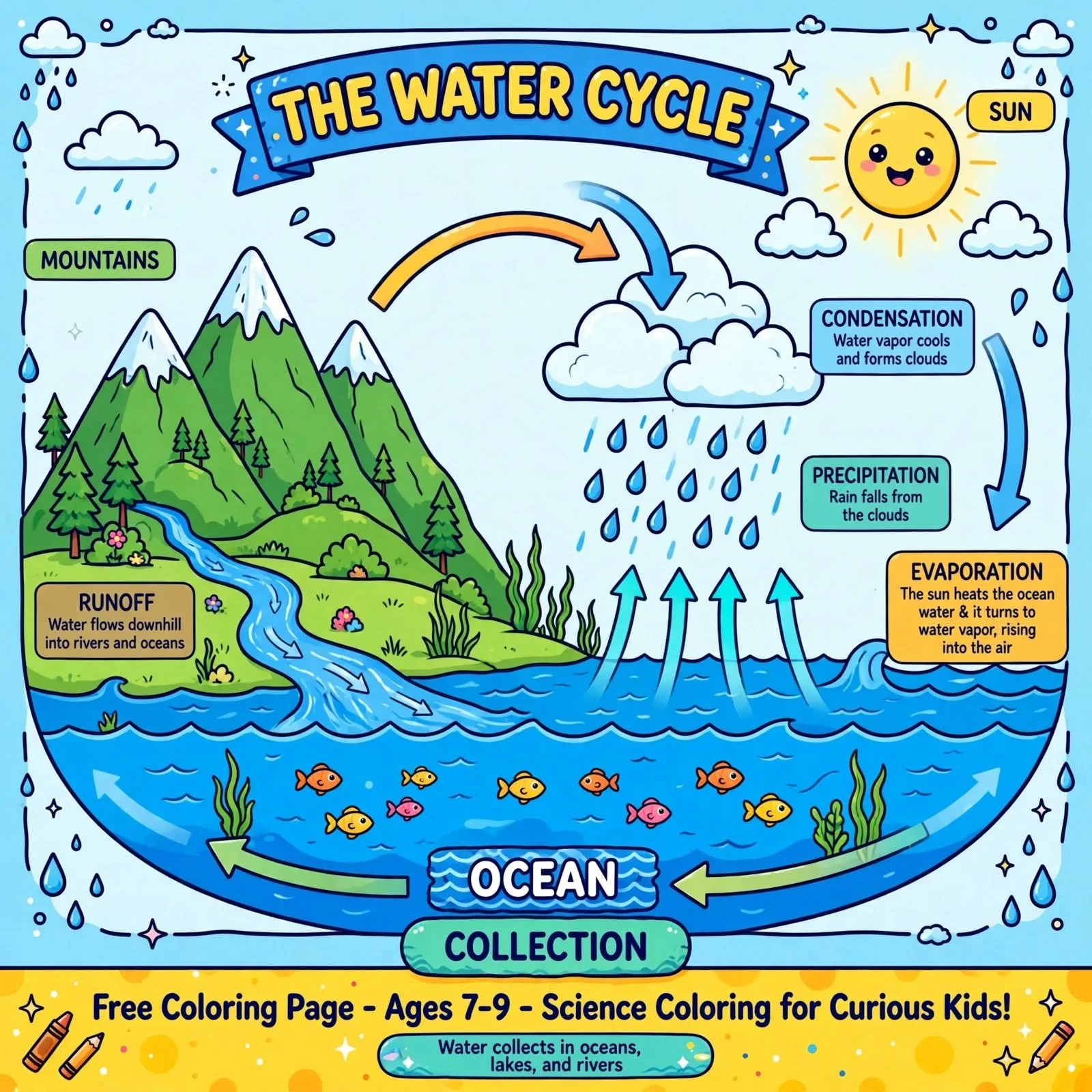 FREE Water Cycle Coloring Page | Water Cycle Diagram Worksheet Ages 7-9