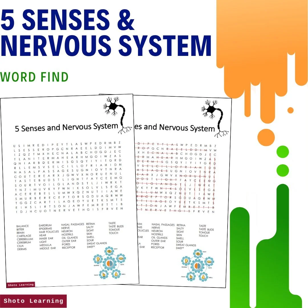 5 Senses & Nervous System Science Bundle - Word Find & Scramble