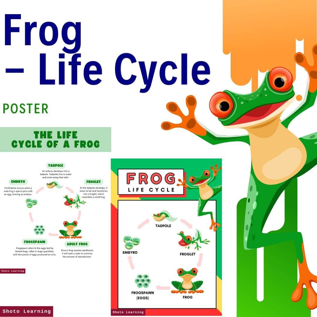 Free Poster.jpg