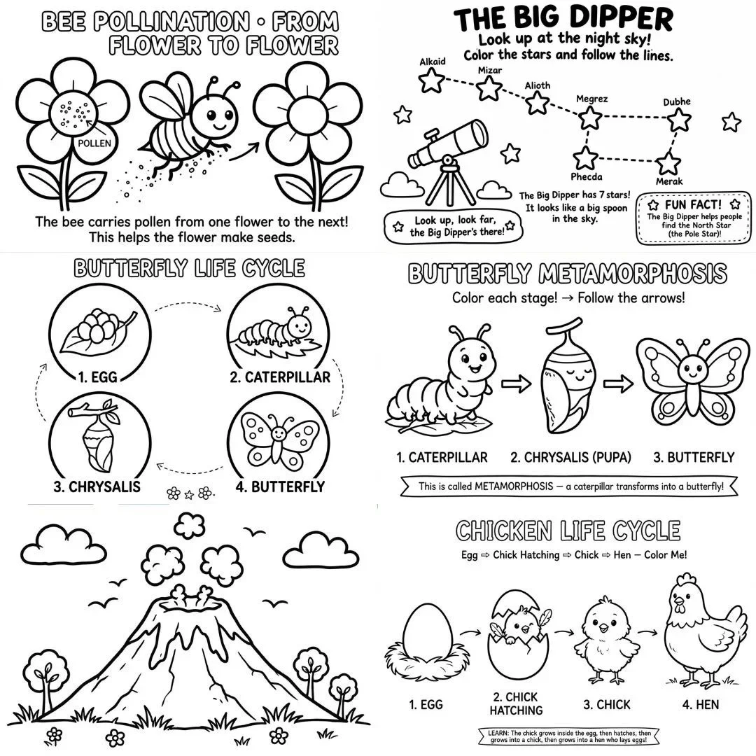 science_coloring 3.webp