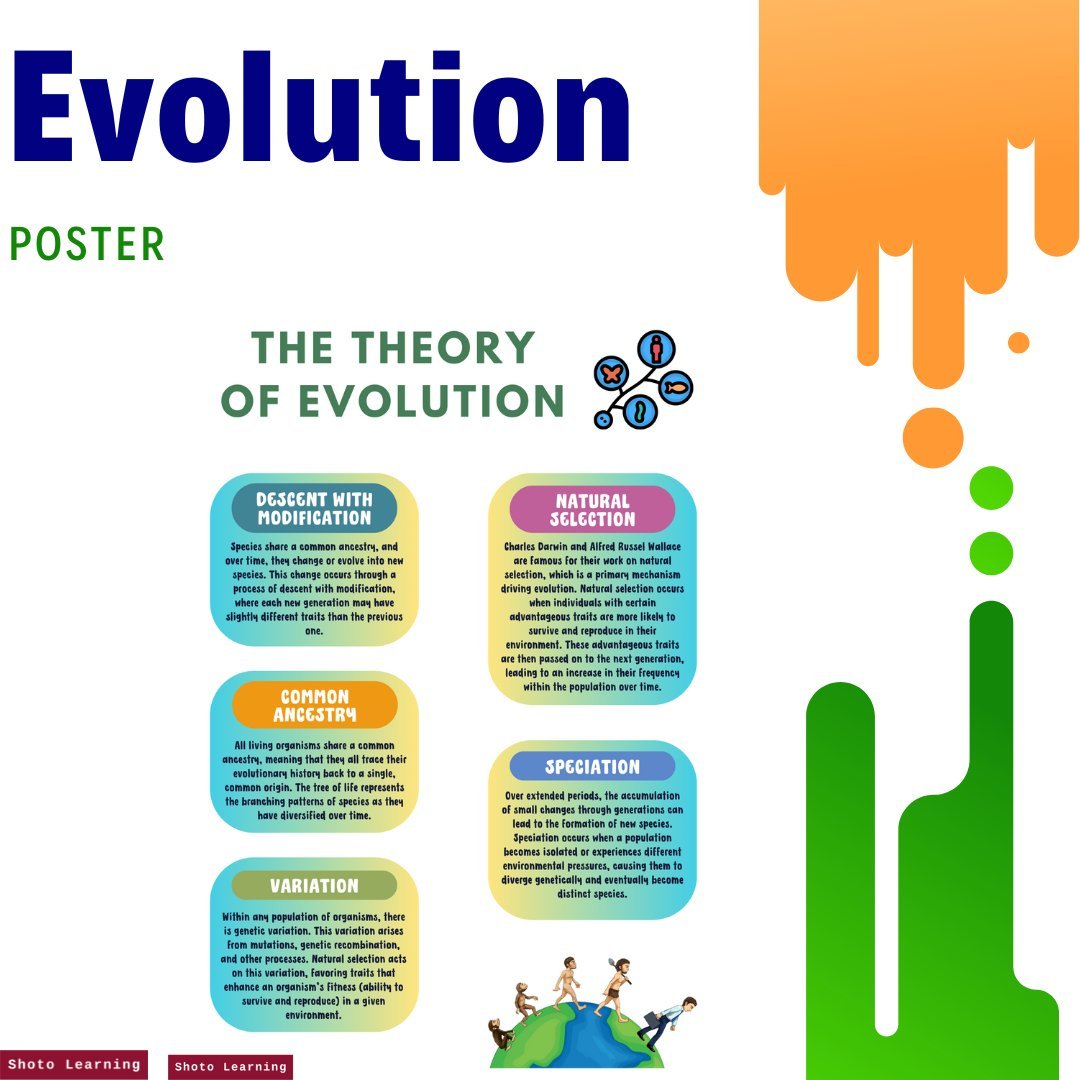 Evolution.jpg