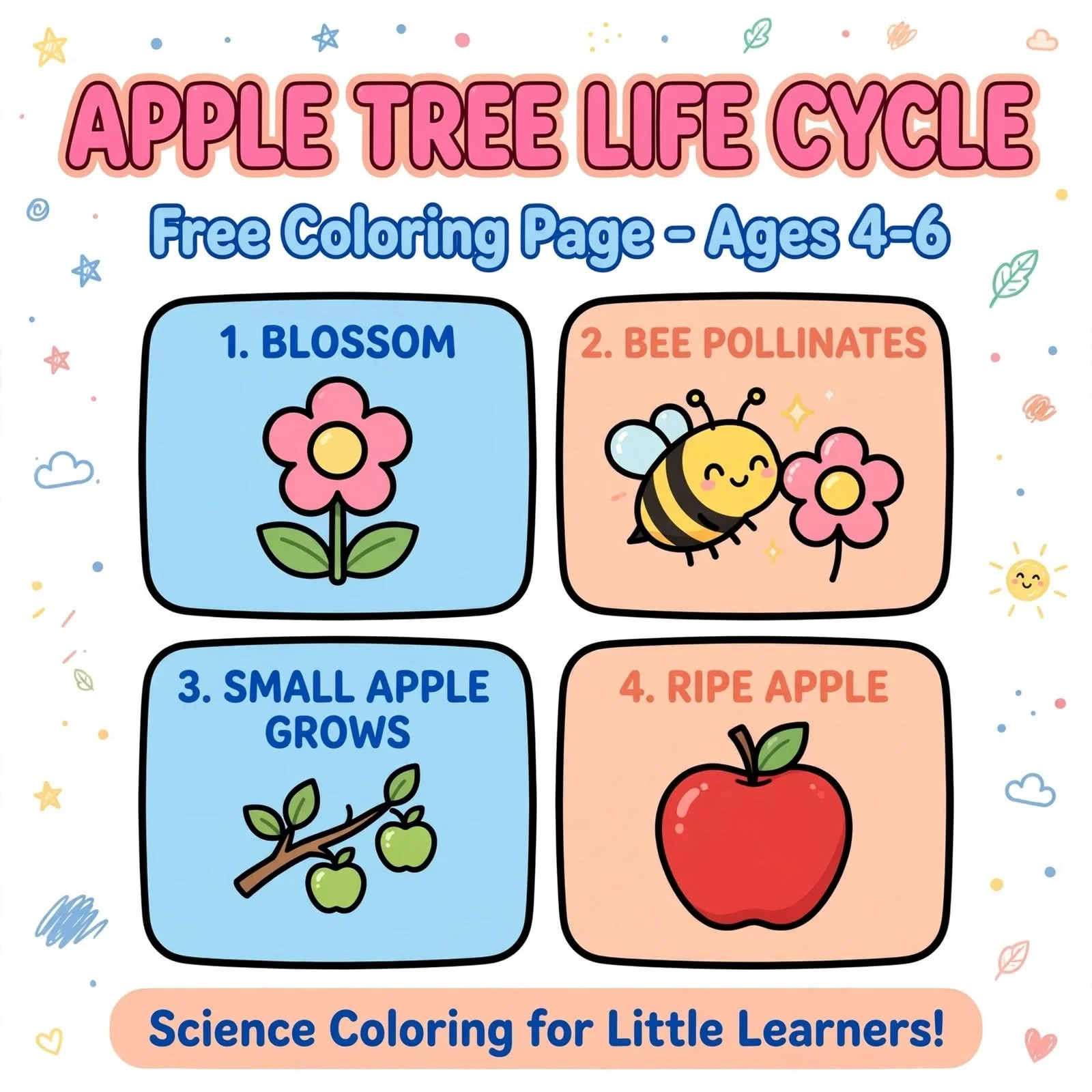 FREE Apple Tree Life Cycle Coloring Page | Science Worksheet for Kids