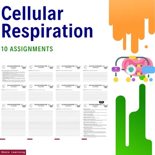 Cellular Respiration ABC Order Worksheets – 21 Key Terms & Answer Key