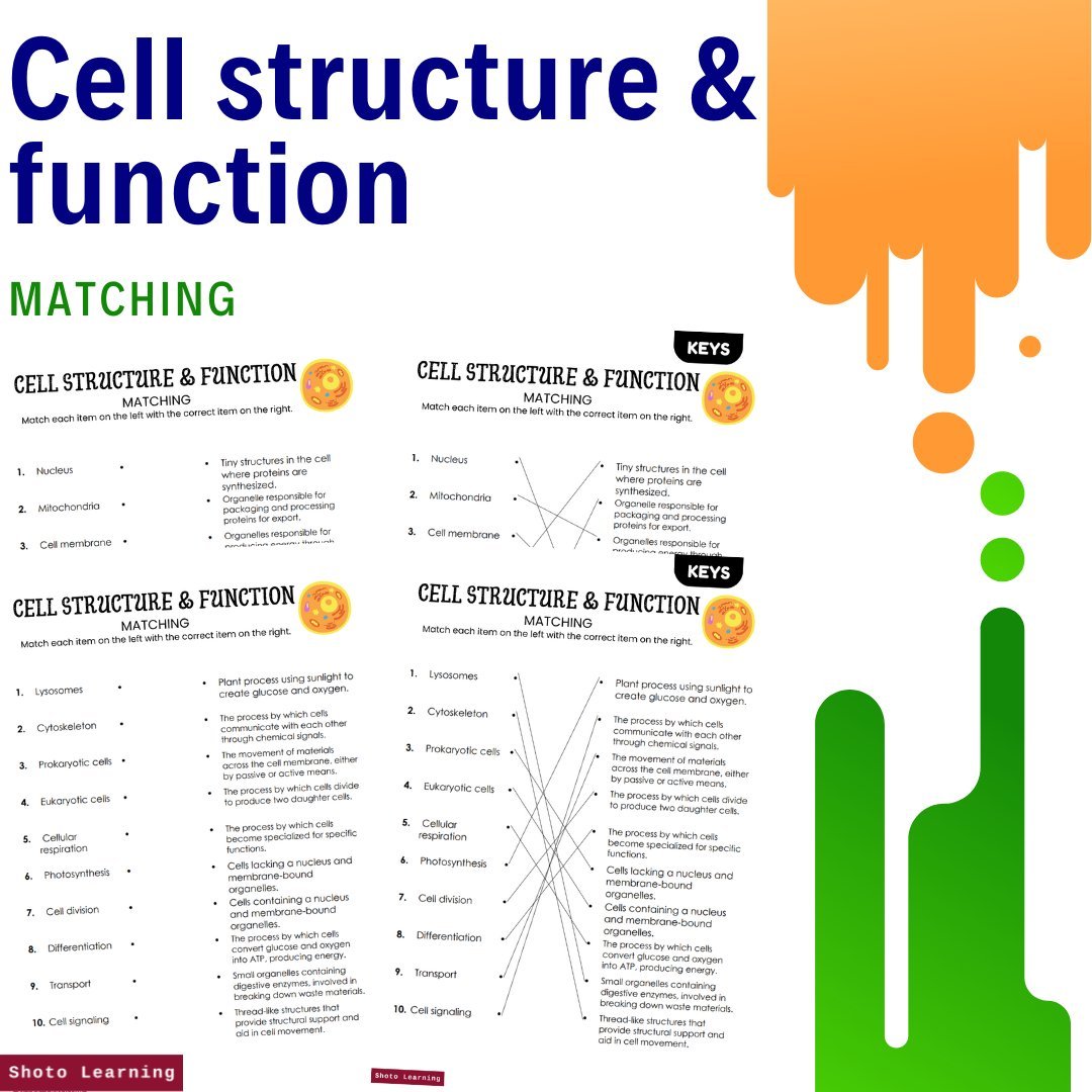 Cell structure and function.jpg