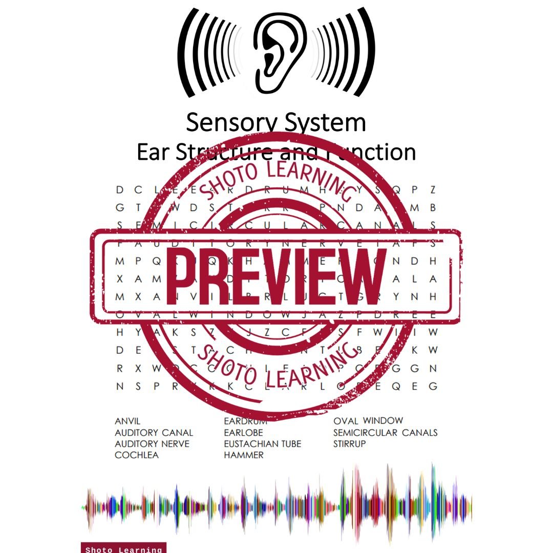 Sensory System Ear Structure and Function Word Seach 2.jpg