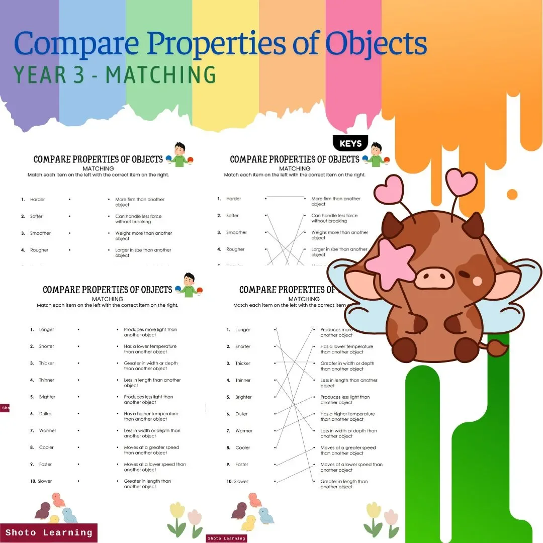 Year 3 Science Matching: Compare Properties of Objects