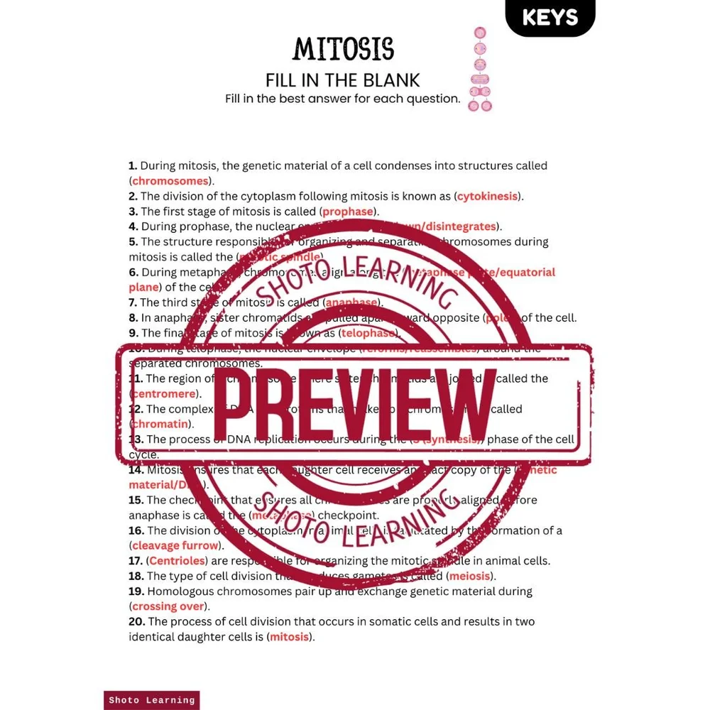 Mastering Mitosis: Interactive Fill-in-the-Blank Worksheet