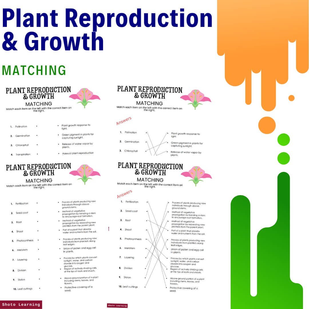 Plant Reproduction & Growth Matching 1.jpg
