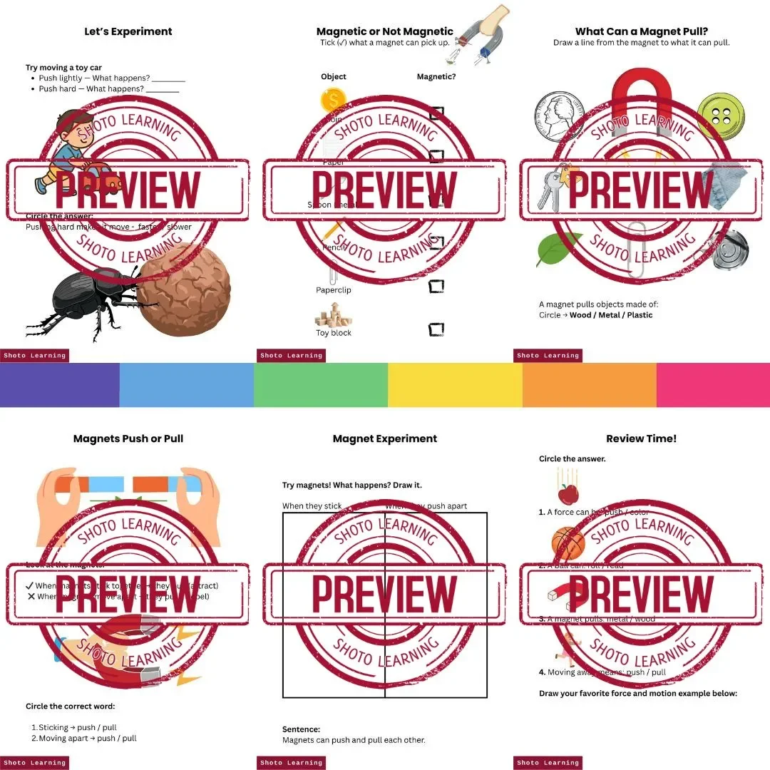 6.webp