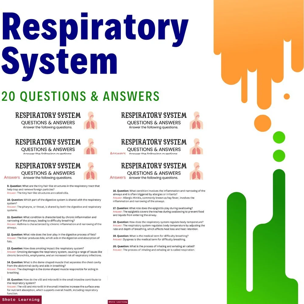 20 Questions and Answers on the Respiratory System