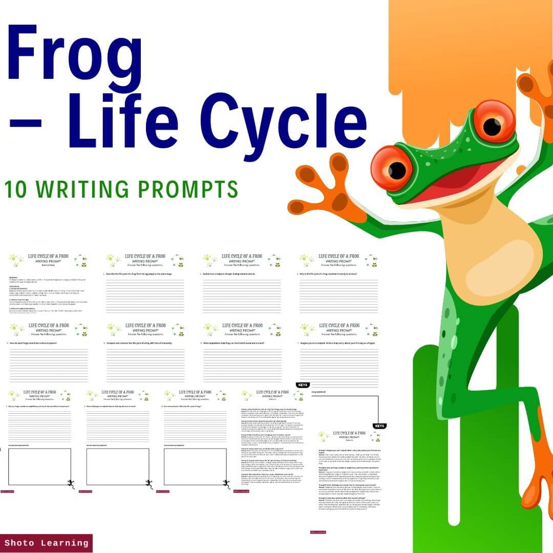Writing prompts.jpg