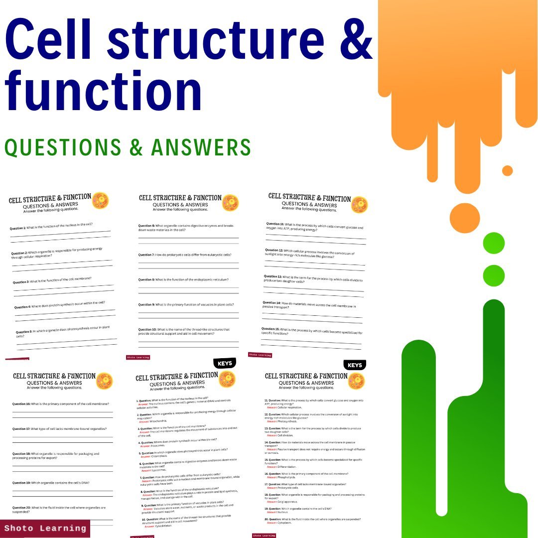Cell structure and function.jpg