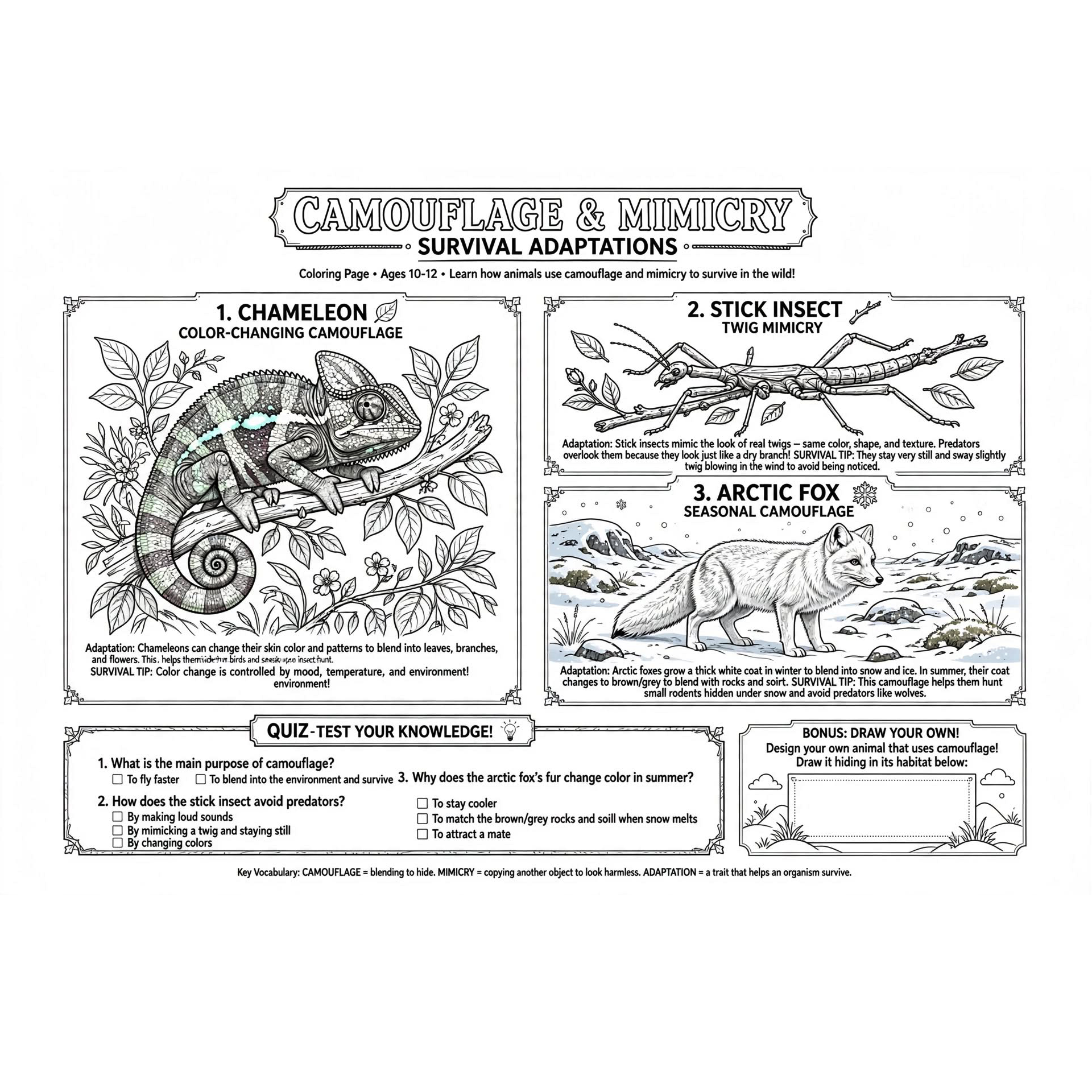 camouflage_mimicry_coloring_page.jpg