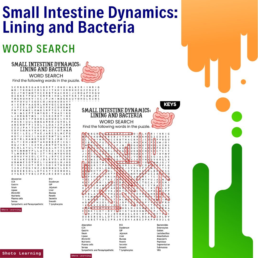Small Intestine Dynamics Lining and Bacteria Word Search 1.jpg
