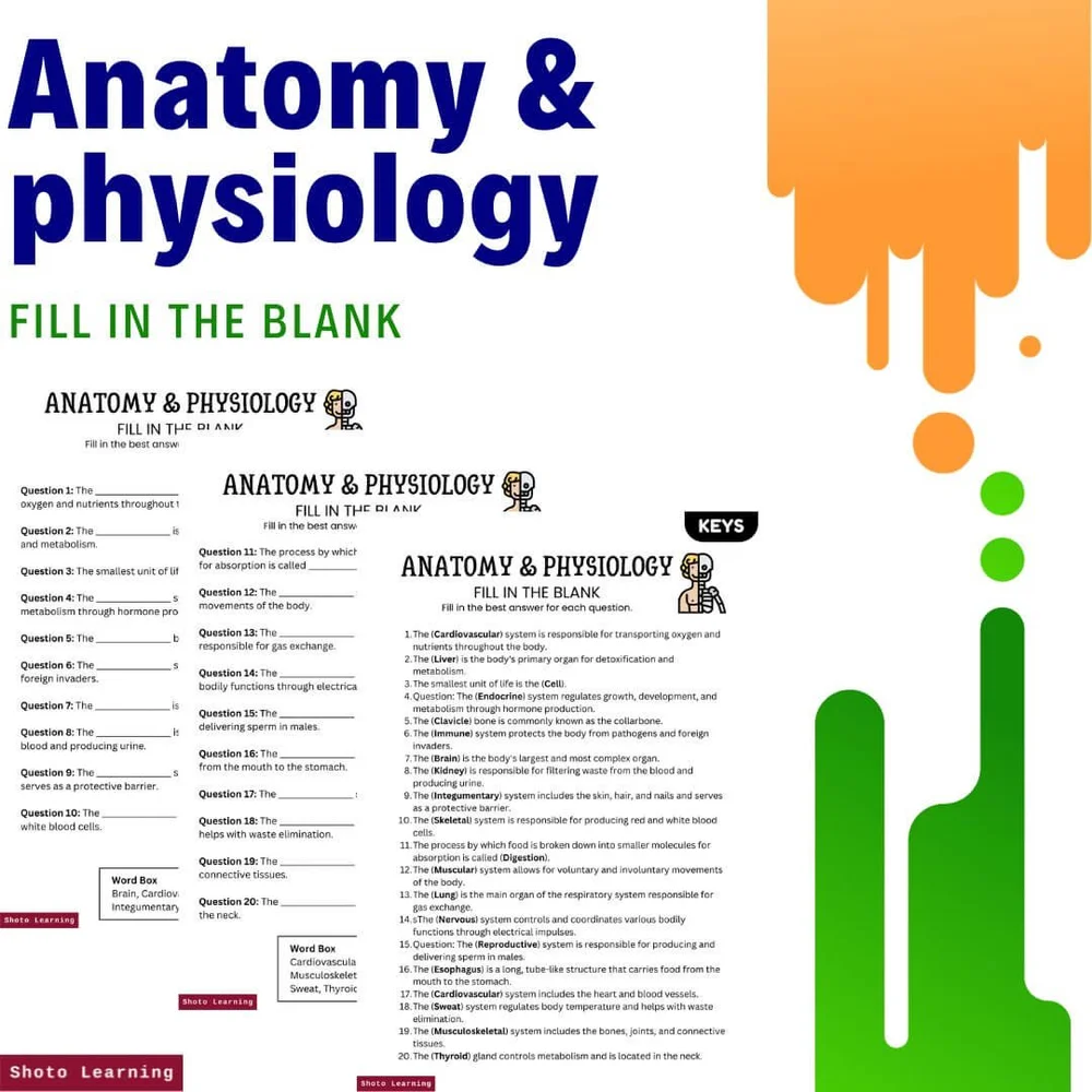 Anatomy Physiology Word Search Puzzle Learn Human Body Terms
